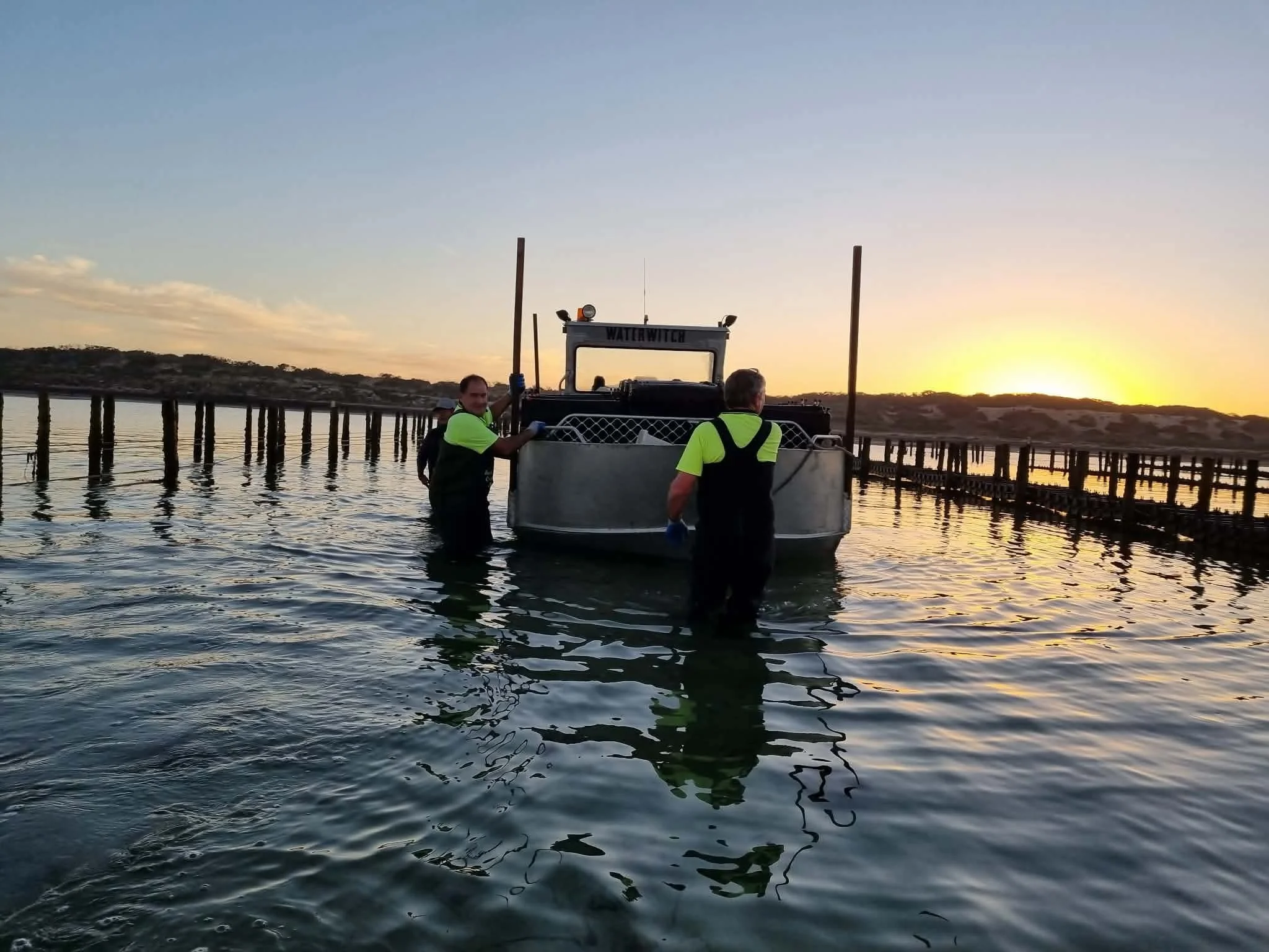 Two workers in high-visibility shirts and gloves working on a boat in a body of water at sunset near a dock.