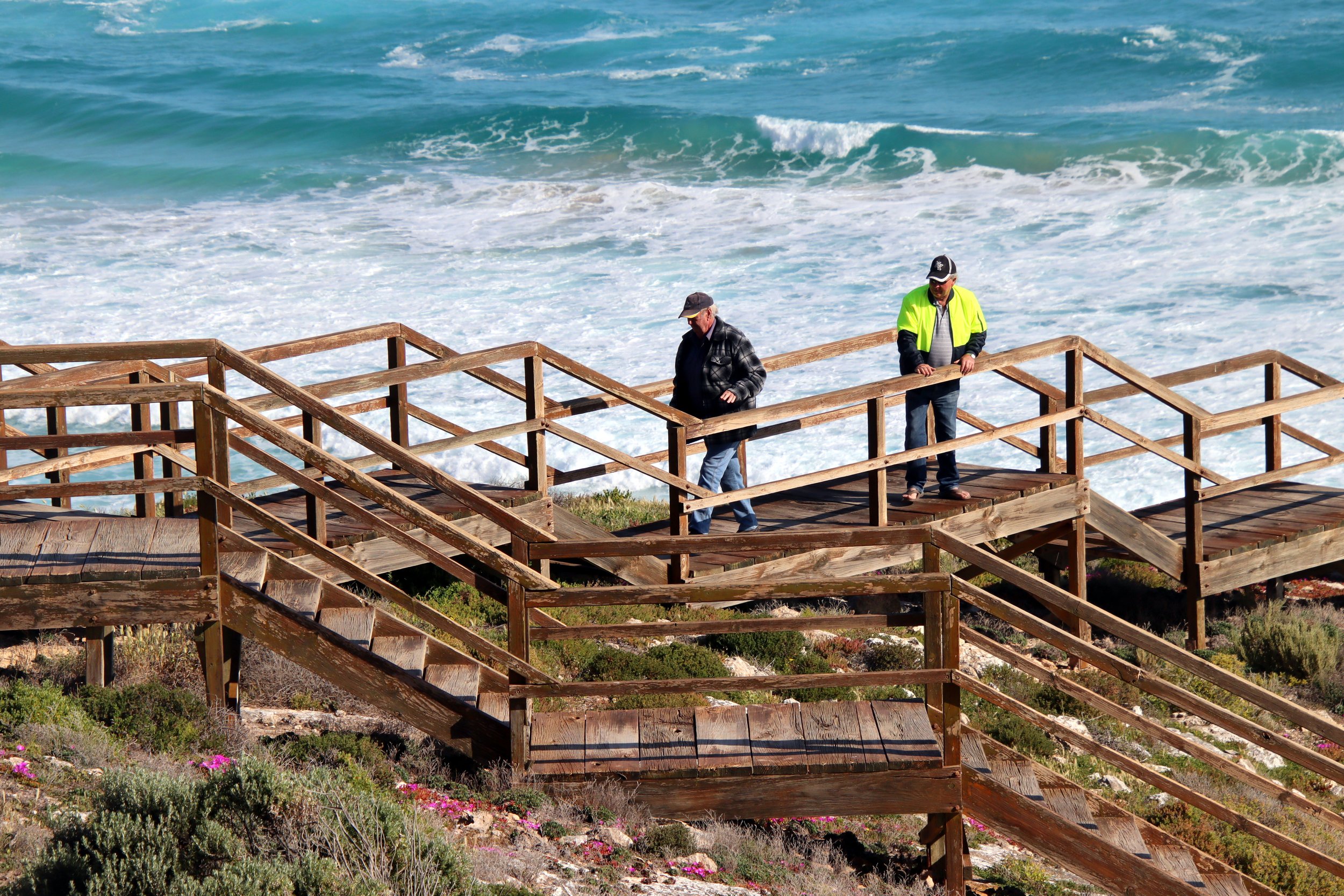 Two men walking on a wooden boardwalk near the ocean, with waves crashing behind them and colorful plants underneath.