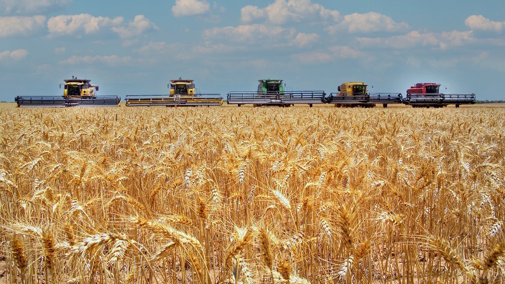 Four combine harvesters working in a wheat field under a partly cloudy sky.