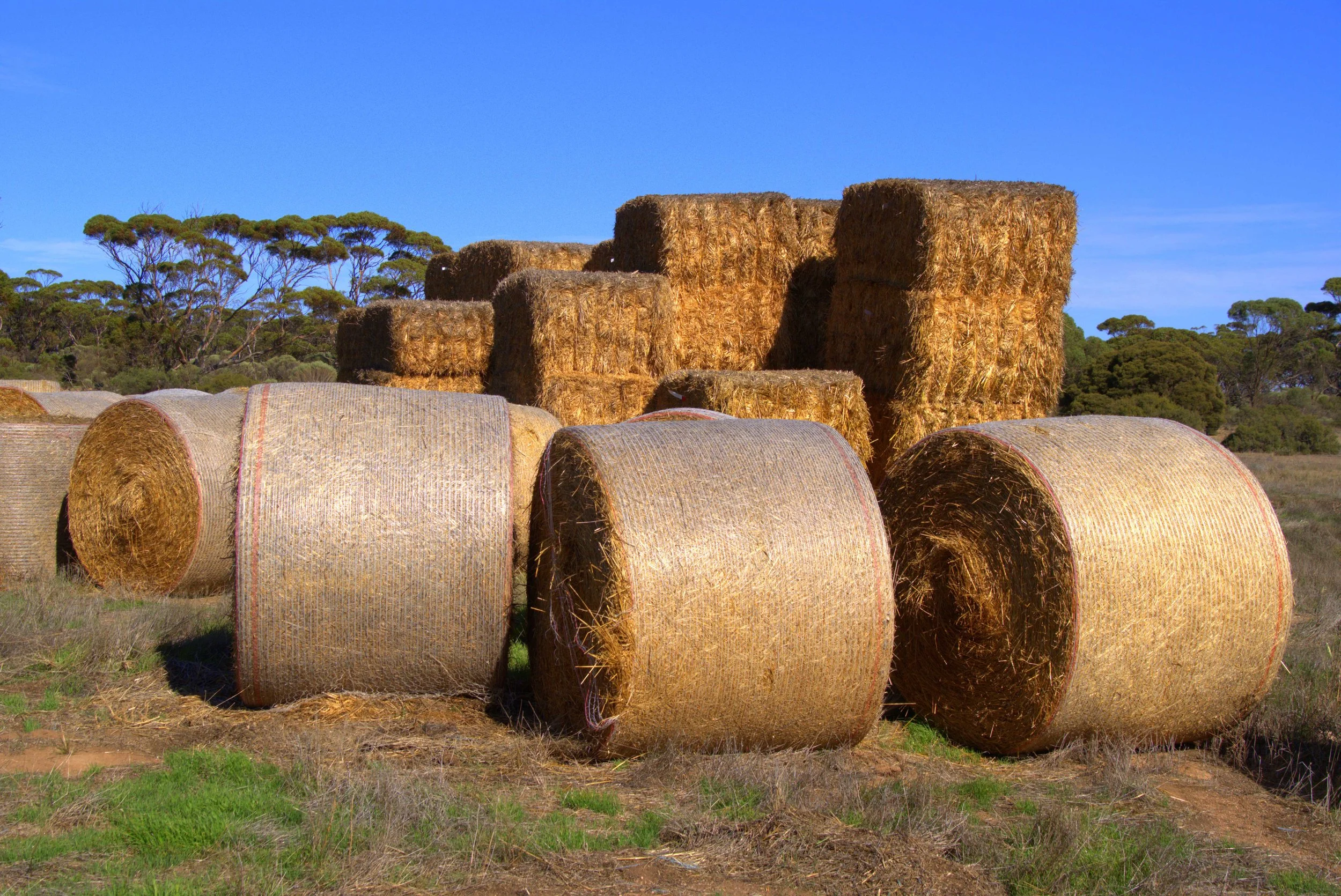 Stacked round and rectangular hay bales in an open field under a clear blue sky.