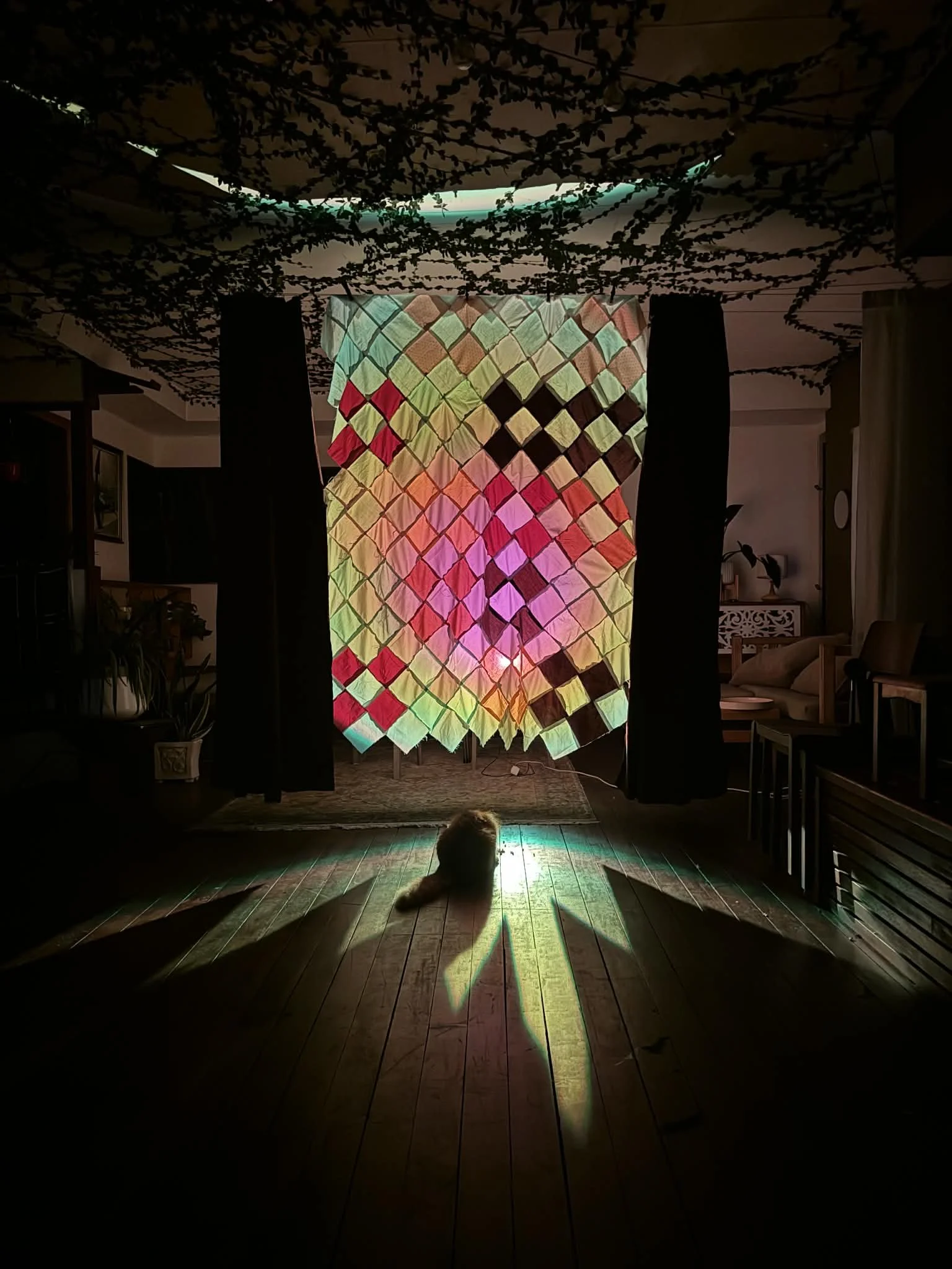 A dark room with a colorful, illuminated quilt hanging as a backdrop. A cat is sitting on the wooden floor, casting a shadow on the quilt due to light coming from below.