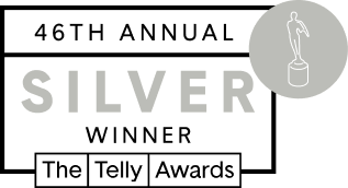 Telly Silver Award Badge