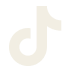 TikTok Icon