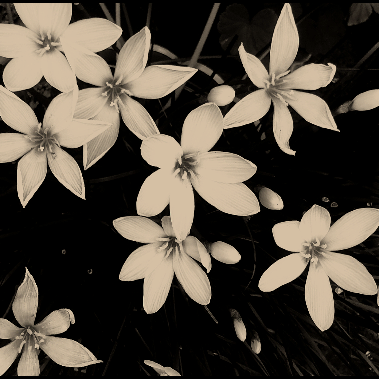 Intro class -  Yoga Therapy: Releasing & Regulation