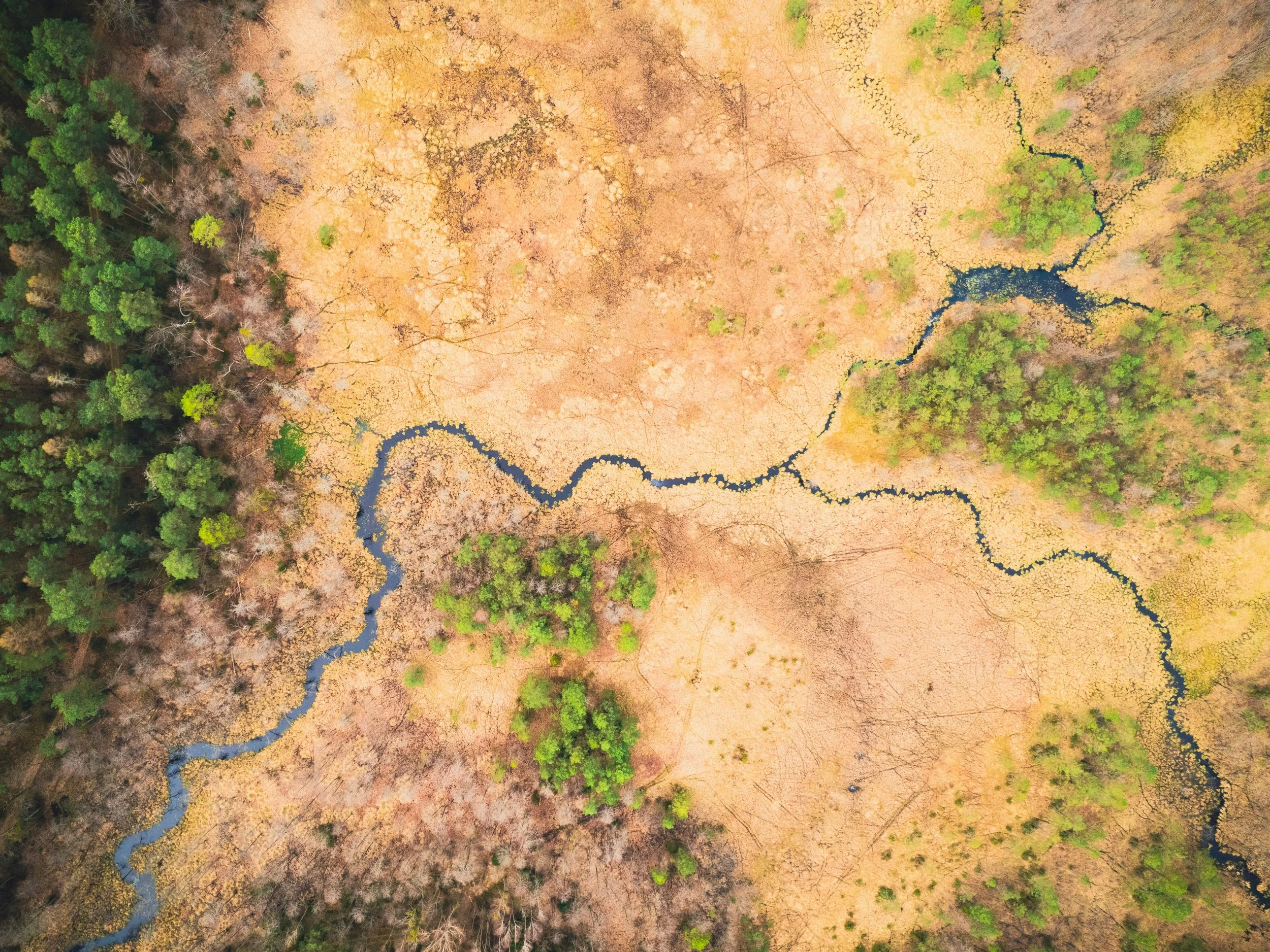 Habitat Suitability Modelling