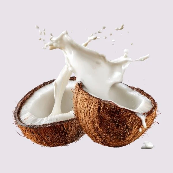 Kokosmelk