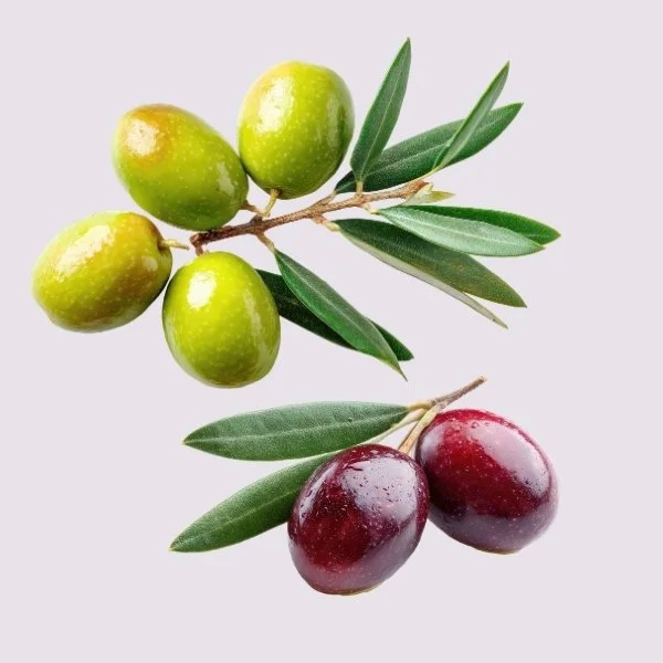 Olijven