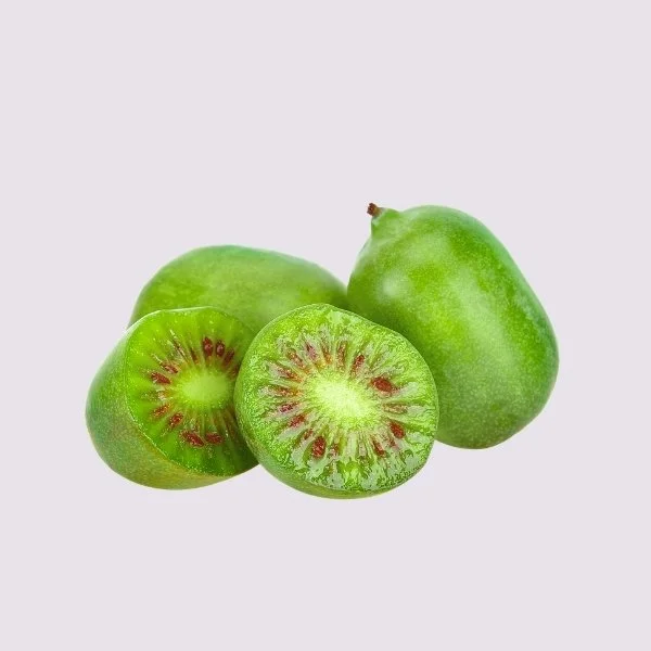 Kiwibes