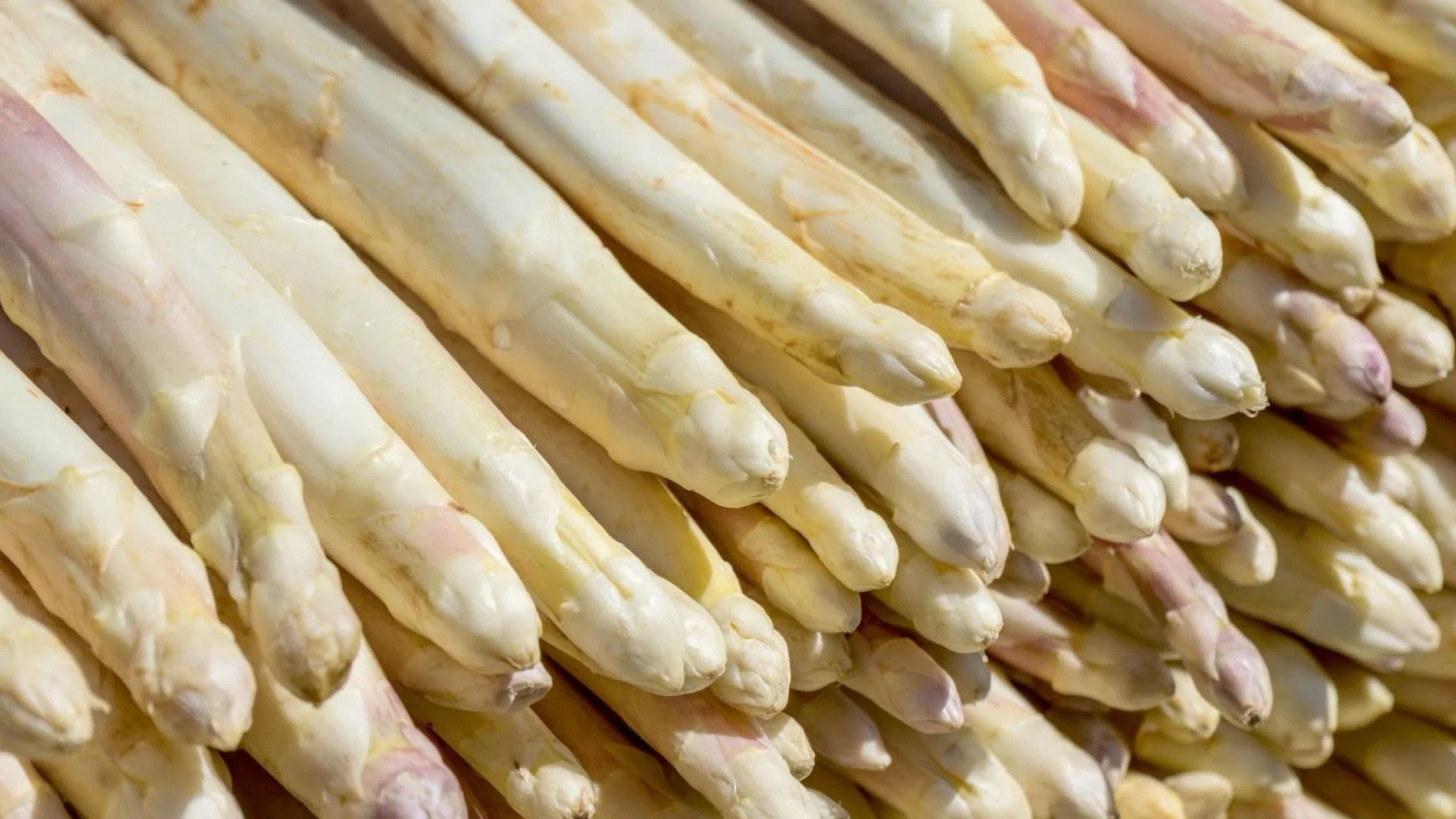 Witte Asperges: Het witte goud van de lente