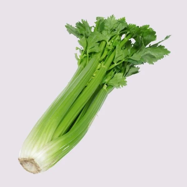 Bleekselderij