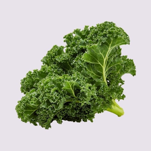 Boerenkool