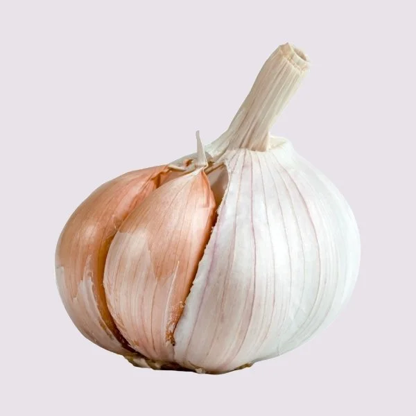 Knoflook