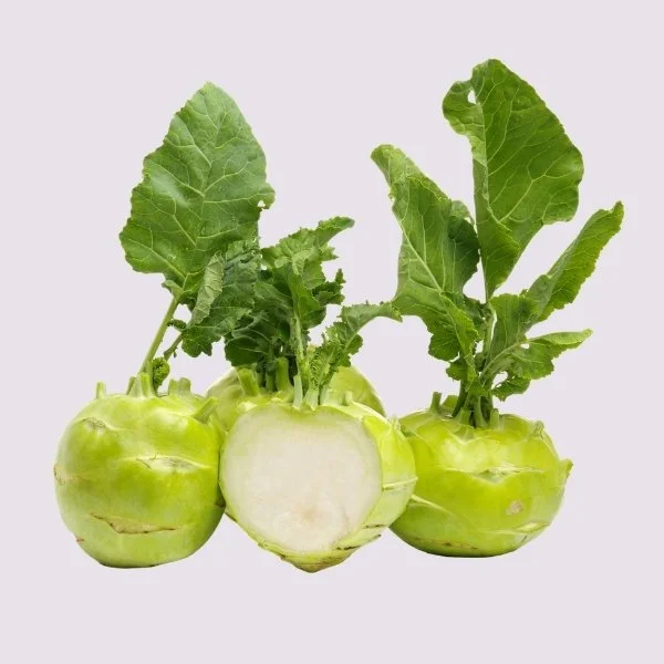 Koolrabi