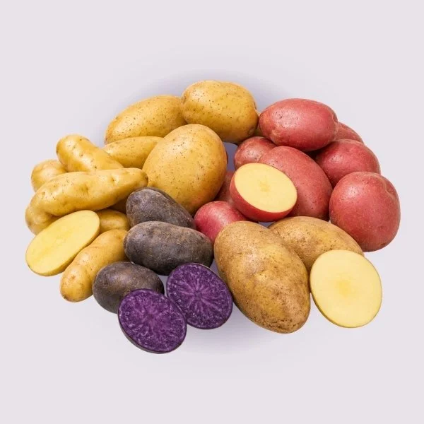 Aardappel