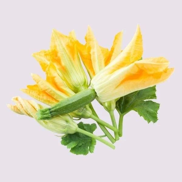Courgettebloem