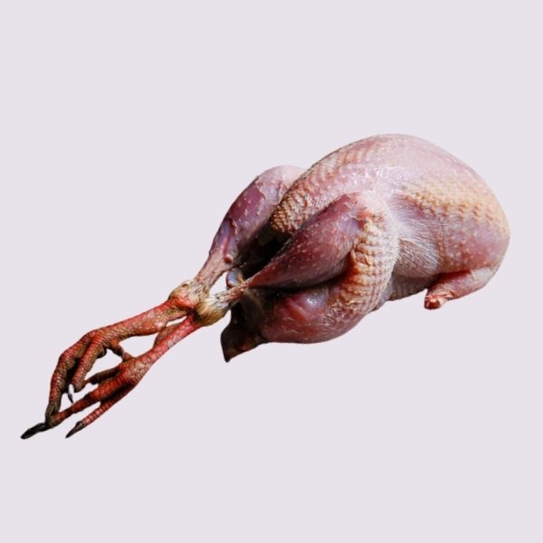 Speciale gevogelte-snedes (op aanvraag).jpg