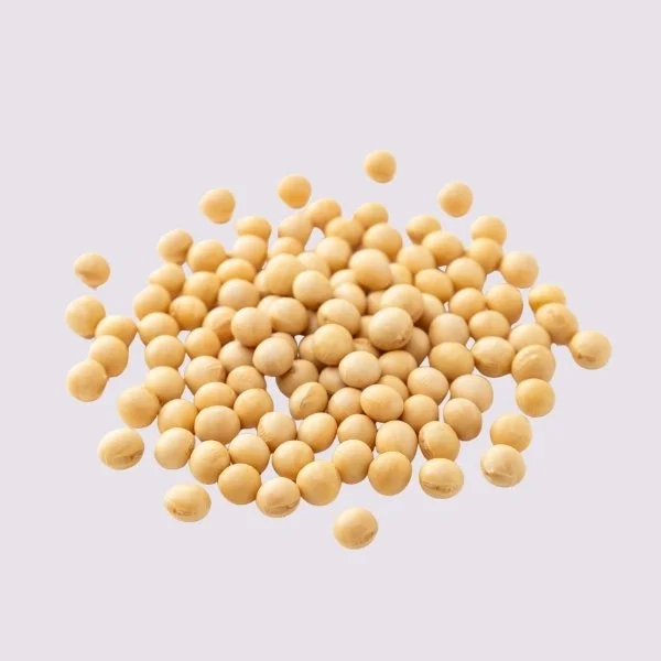 Sojabonen