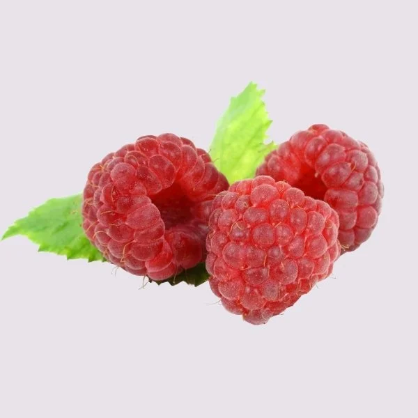 Frambozen