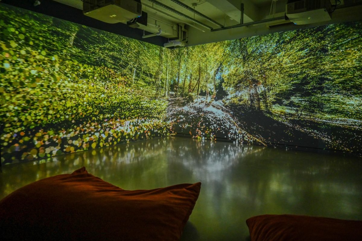 A Sentient Land: Aesthetic Alliances with Forests, Beetles, Salt and Air, 2026