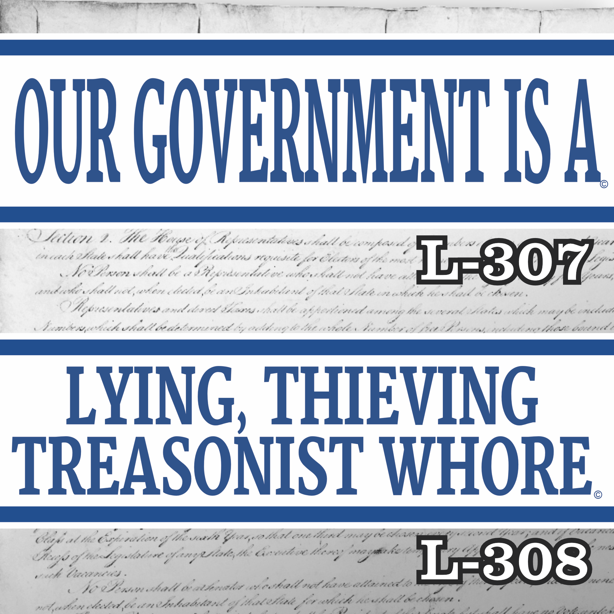 Magnet 11" x 3.5" SET 307 308