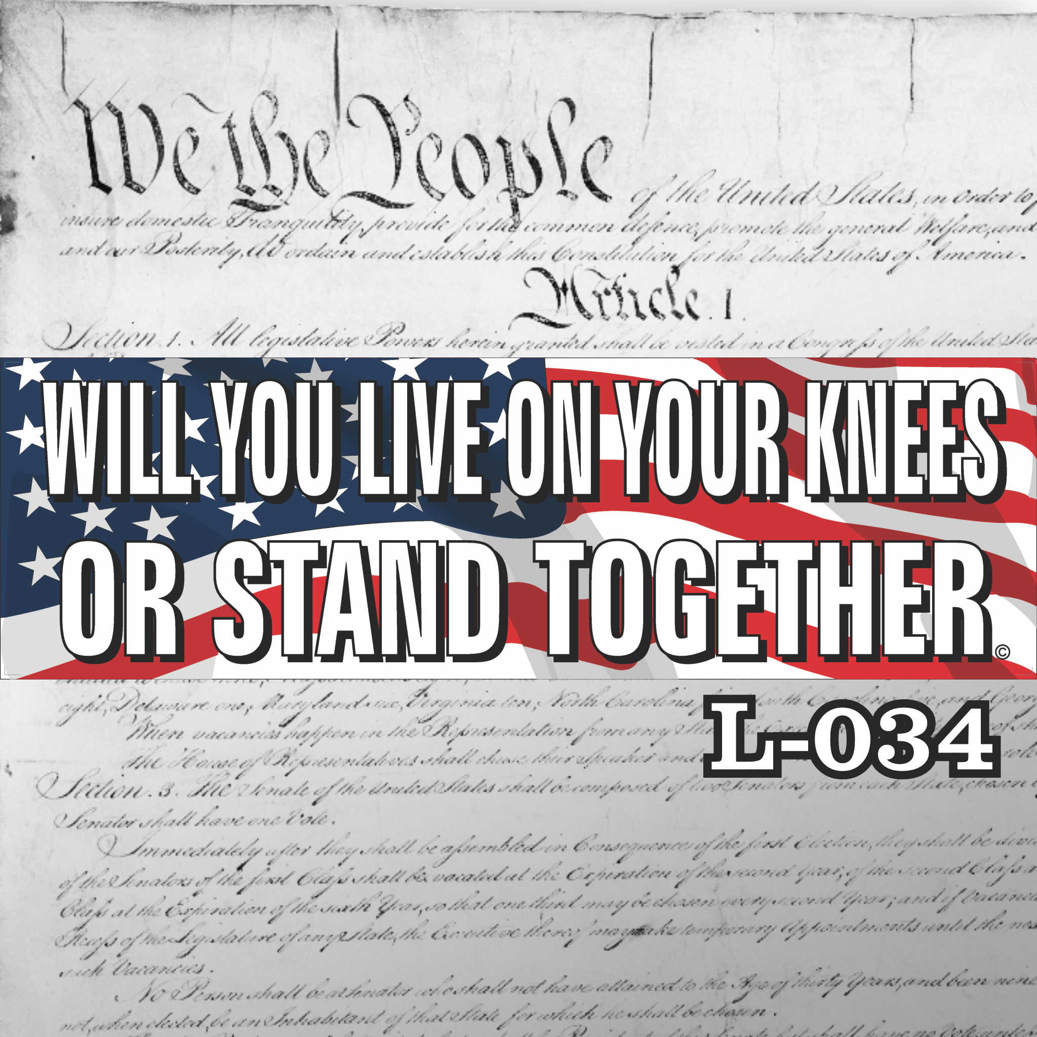 MAGNET 11" X 3.5" 34