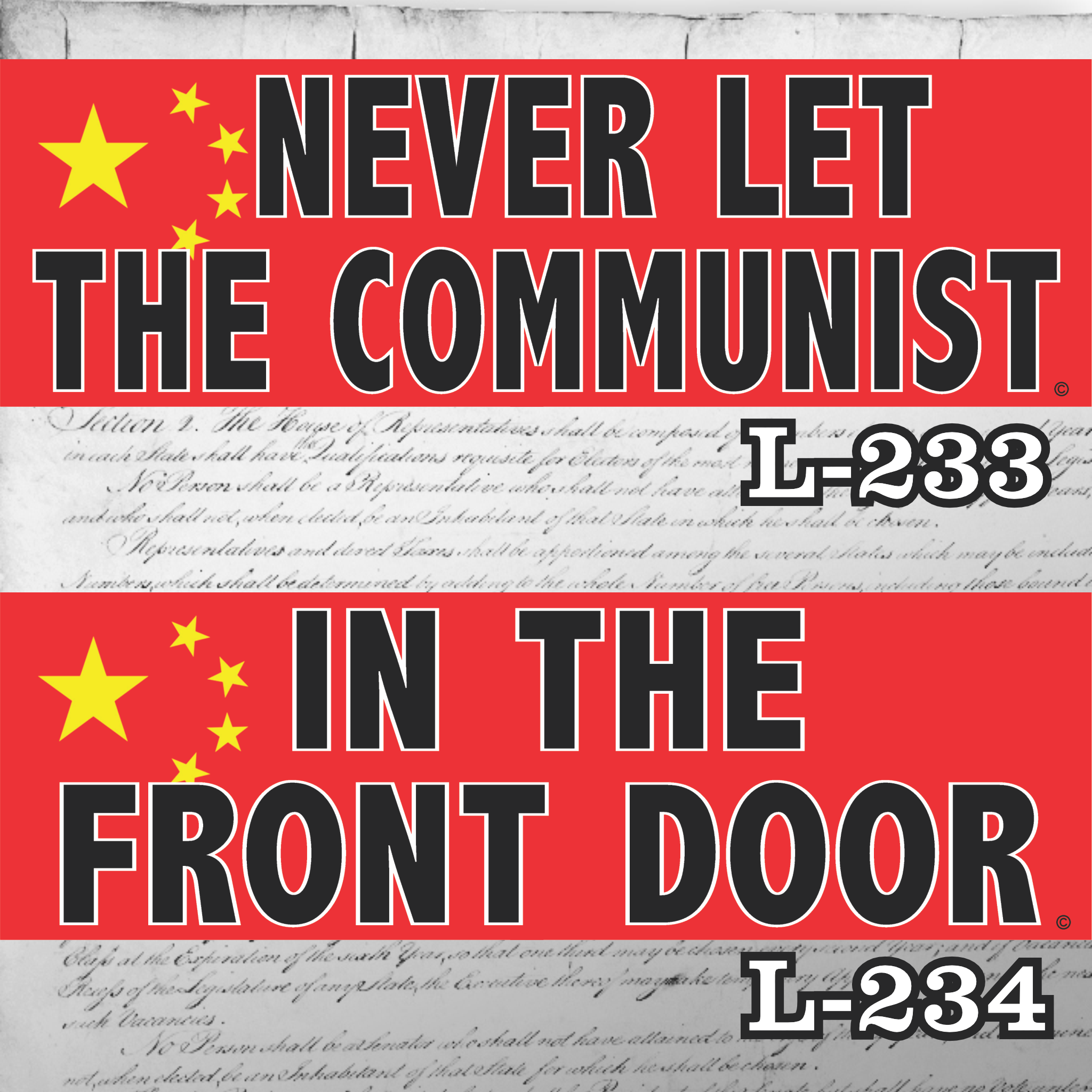 MAGNET 11" X 3.5" SET 233 234