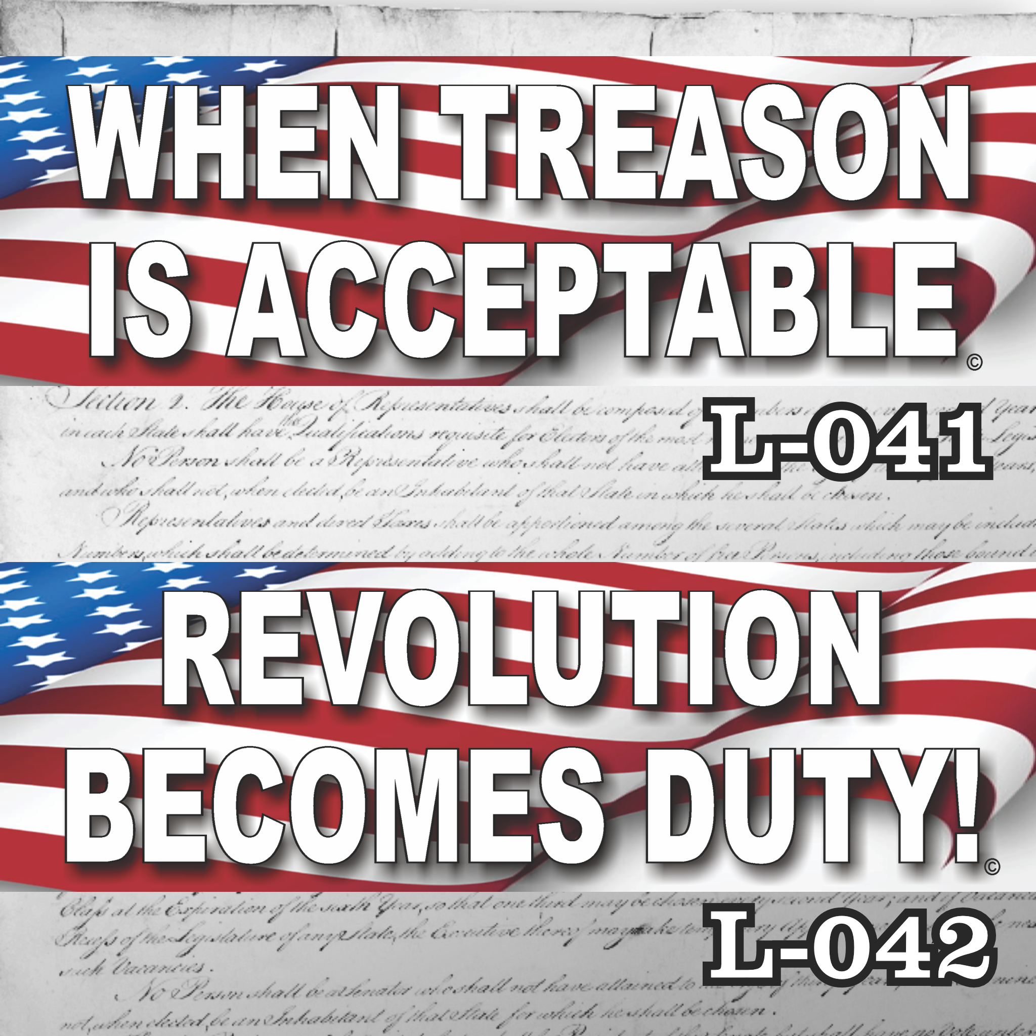 MAGNET 11" X 3.5" SET 41 42