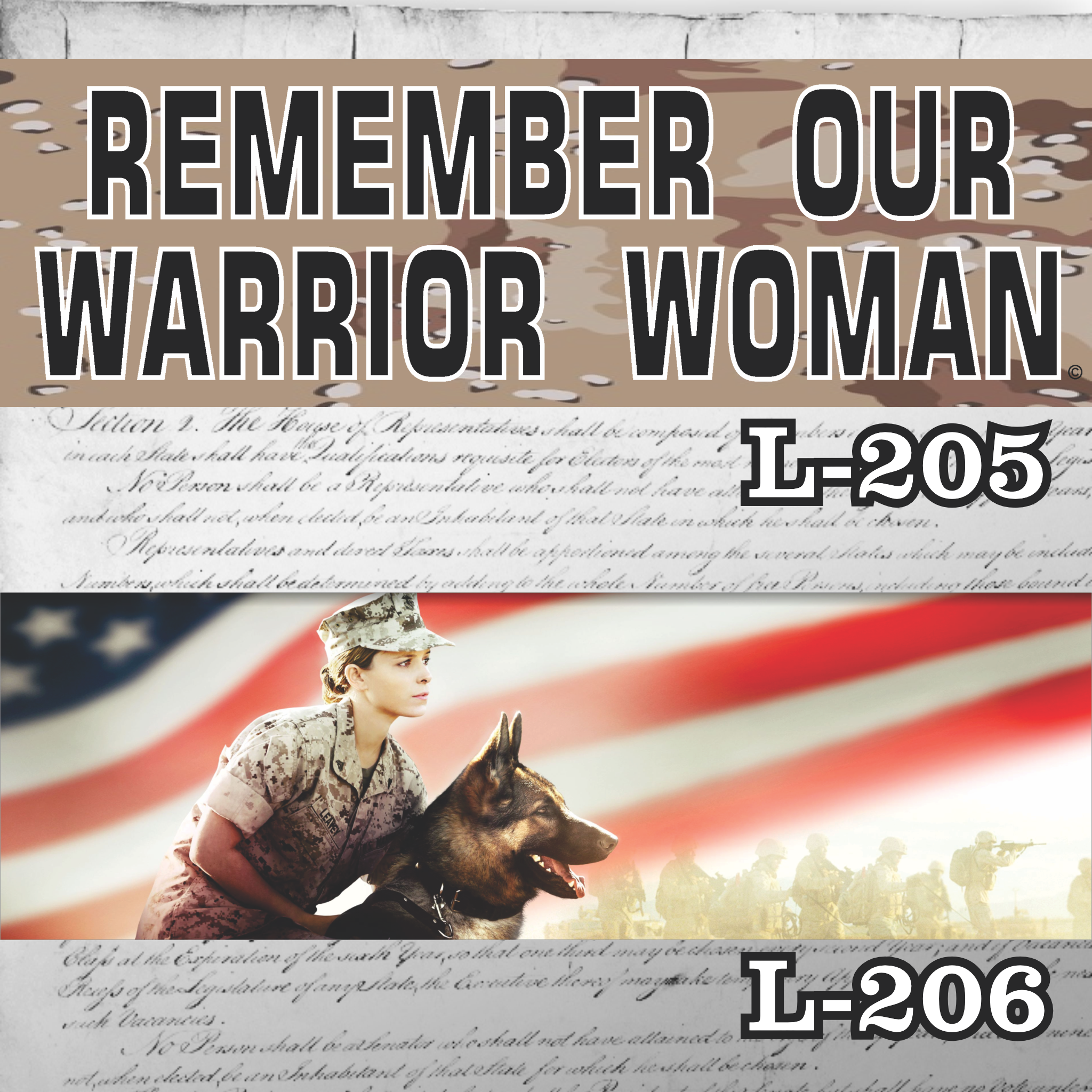 MAGNET 11" X 3.5" SET 205 206