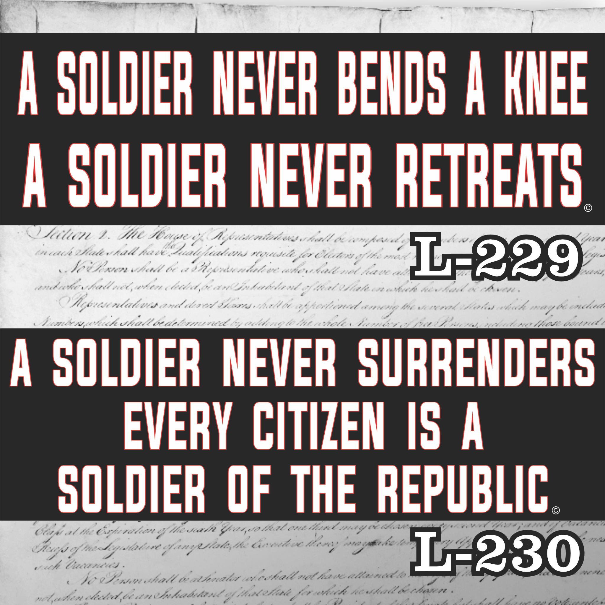 MAGNET 11" X 3.5" SET 229 230