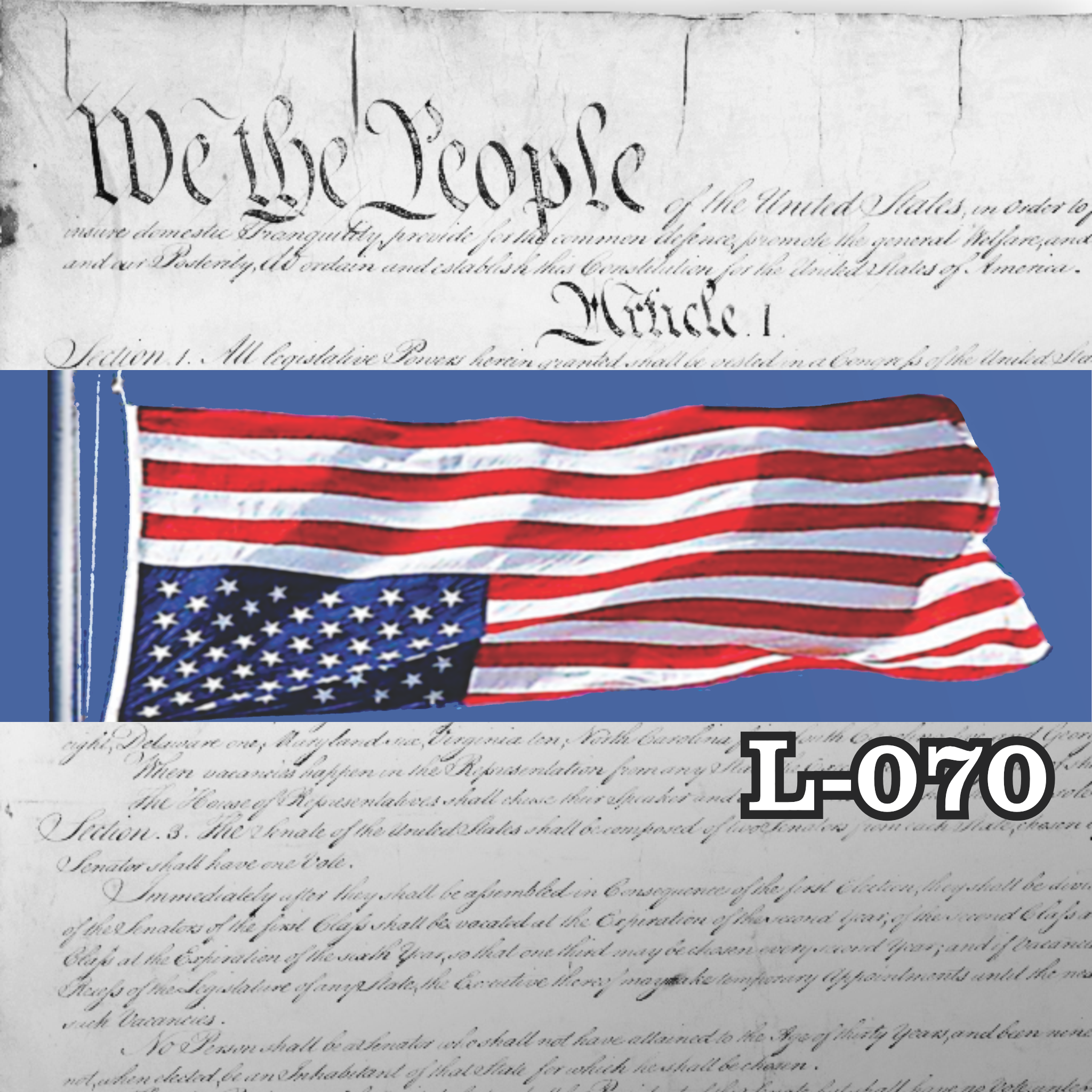 MAGNET 11" X 3.5" 70