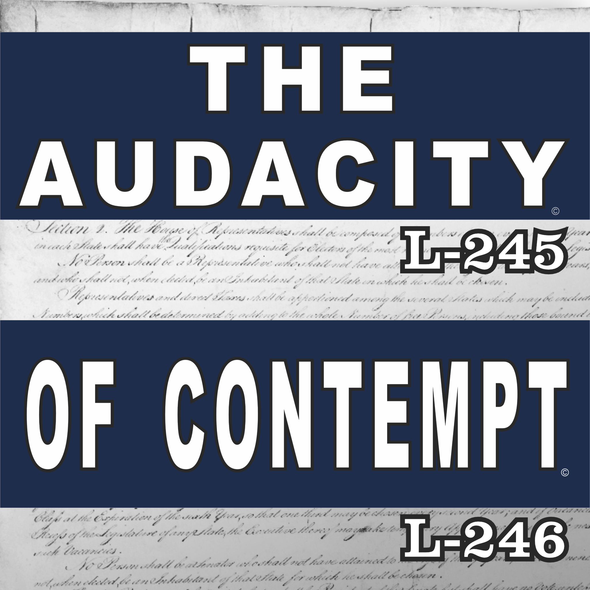 MAGNET 11" X 3.5" SET 245 246