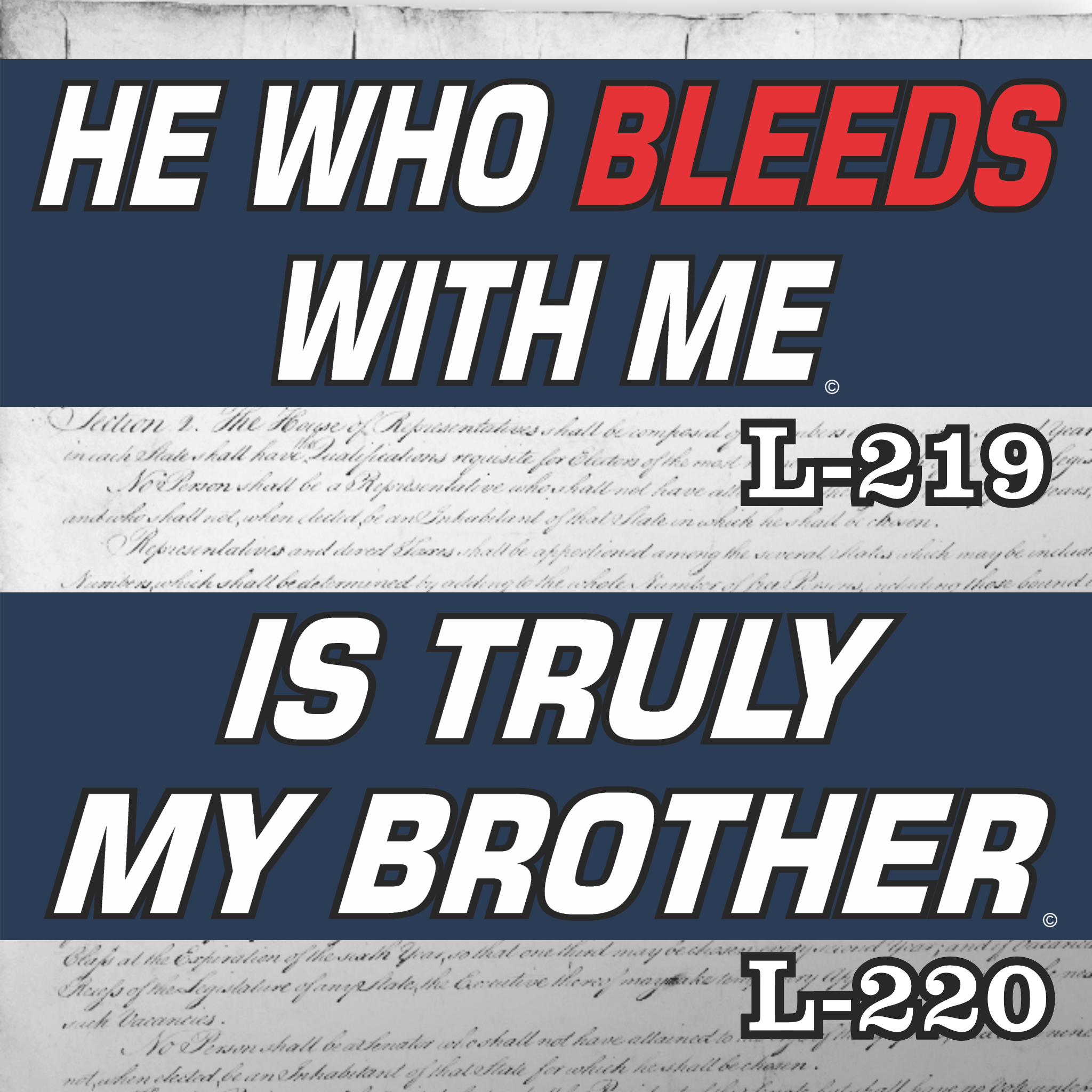 MAGNET 11" X 3.5" SET 219 220