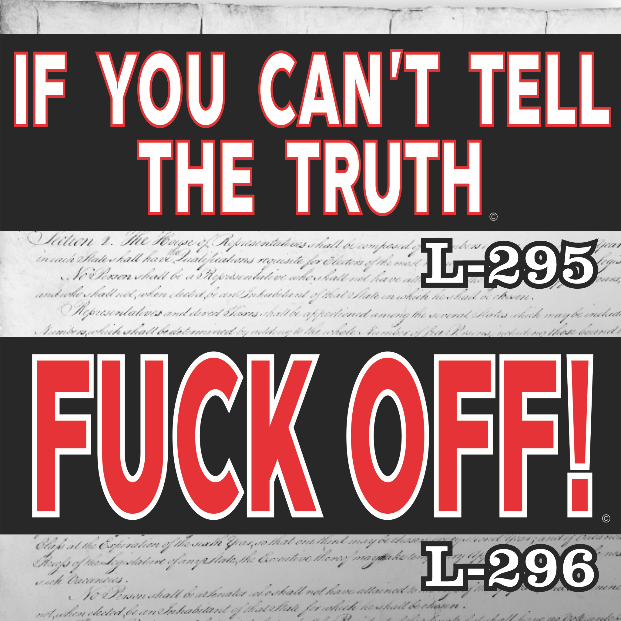 MAGNET 11" X 3.5" SET 295 296