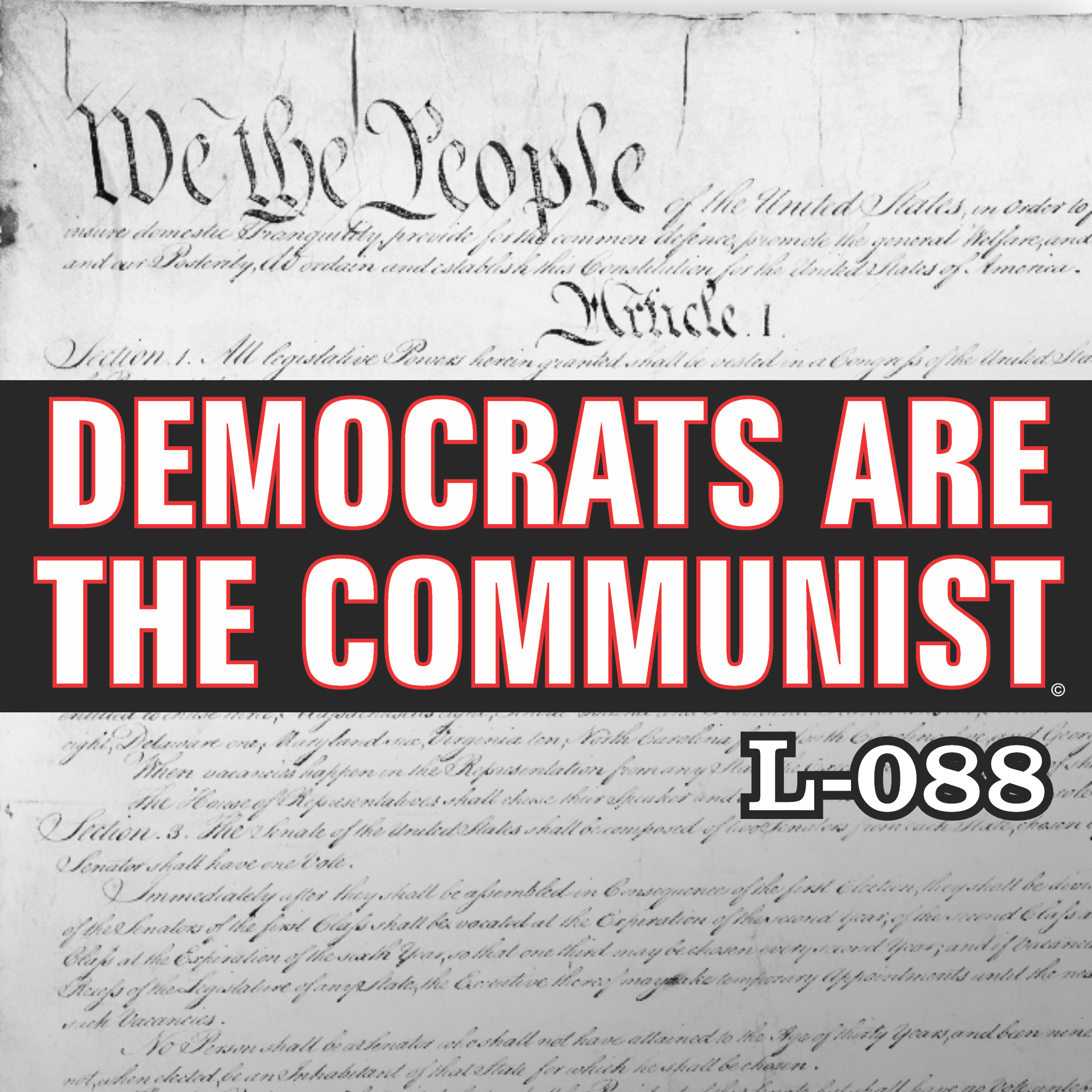 MAGNET 11" X 3.5" 88