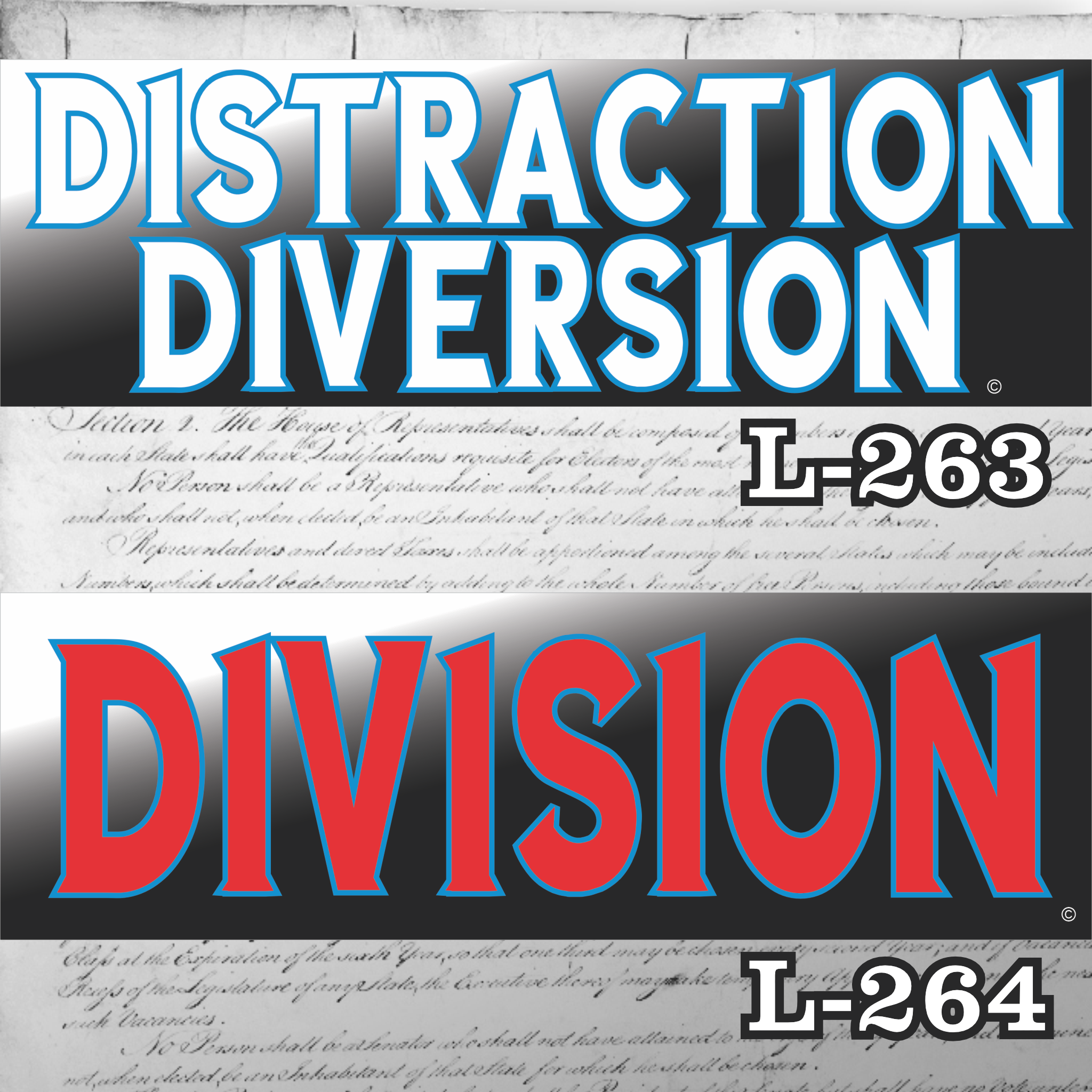 MAGNET 11" X 3.5" SET 263 264