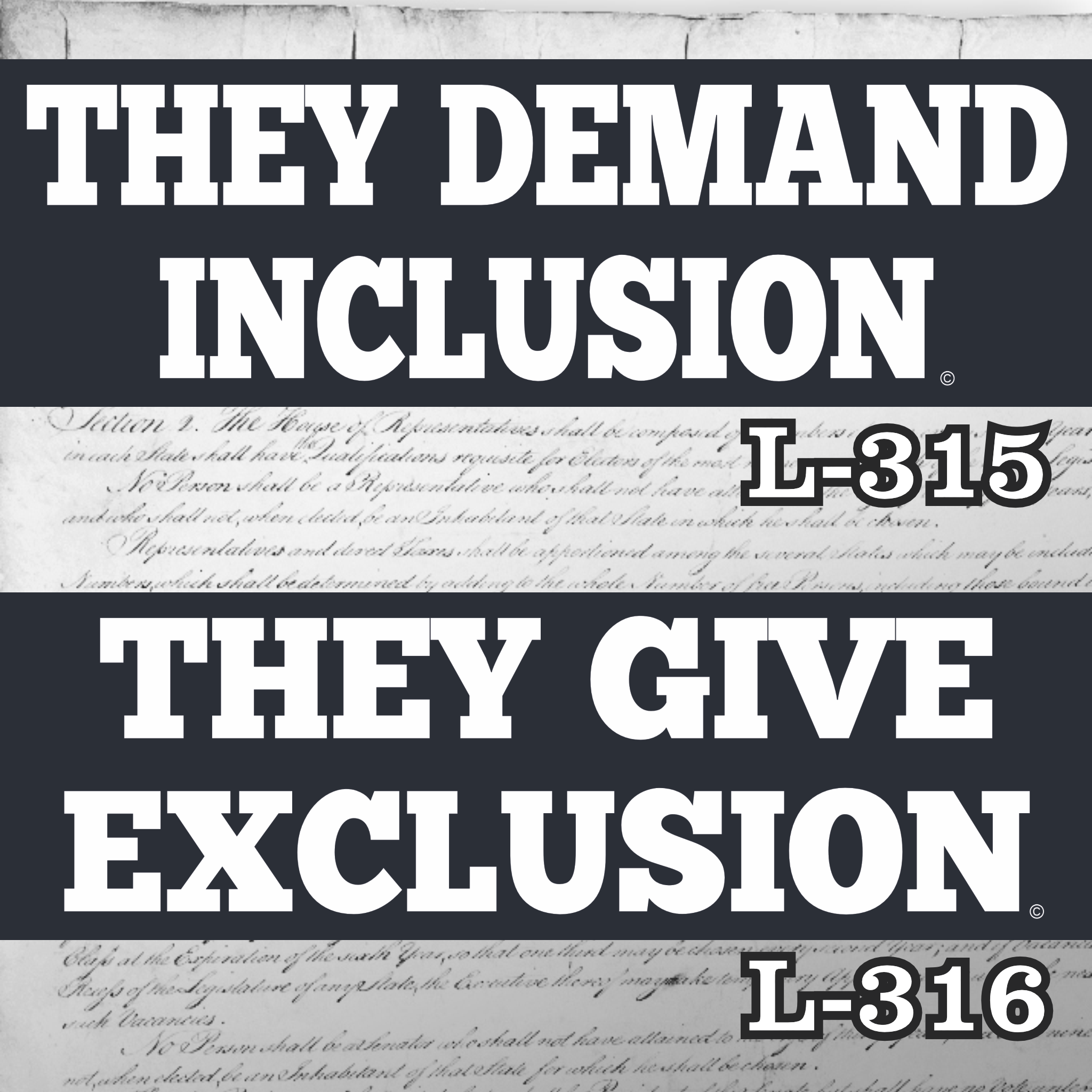 Magnet 11" x 3.5" SET 315 316