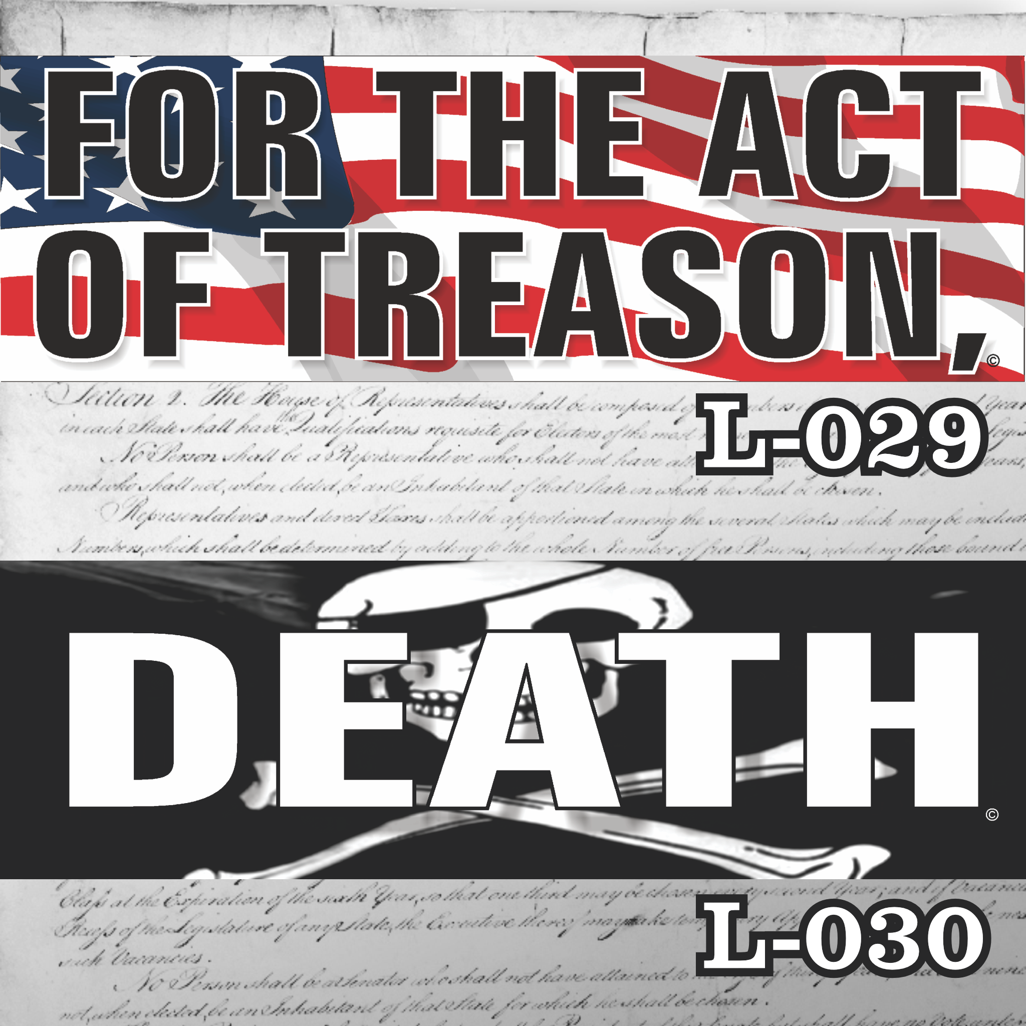 MAGNET SET 11" X 3.5" 29 30