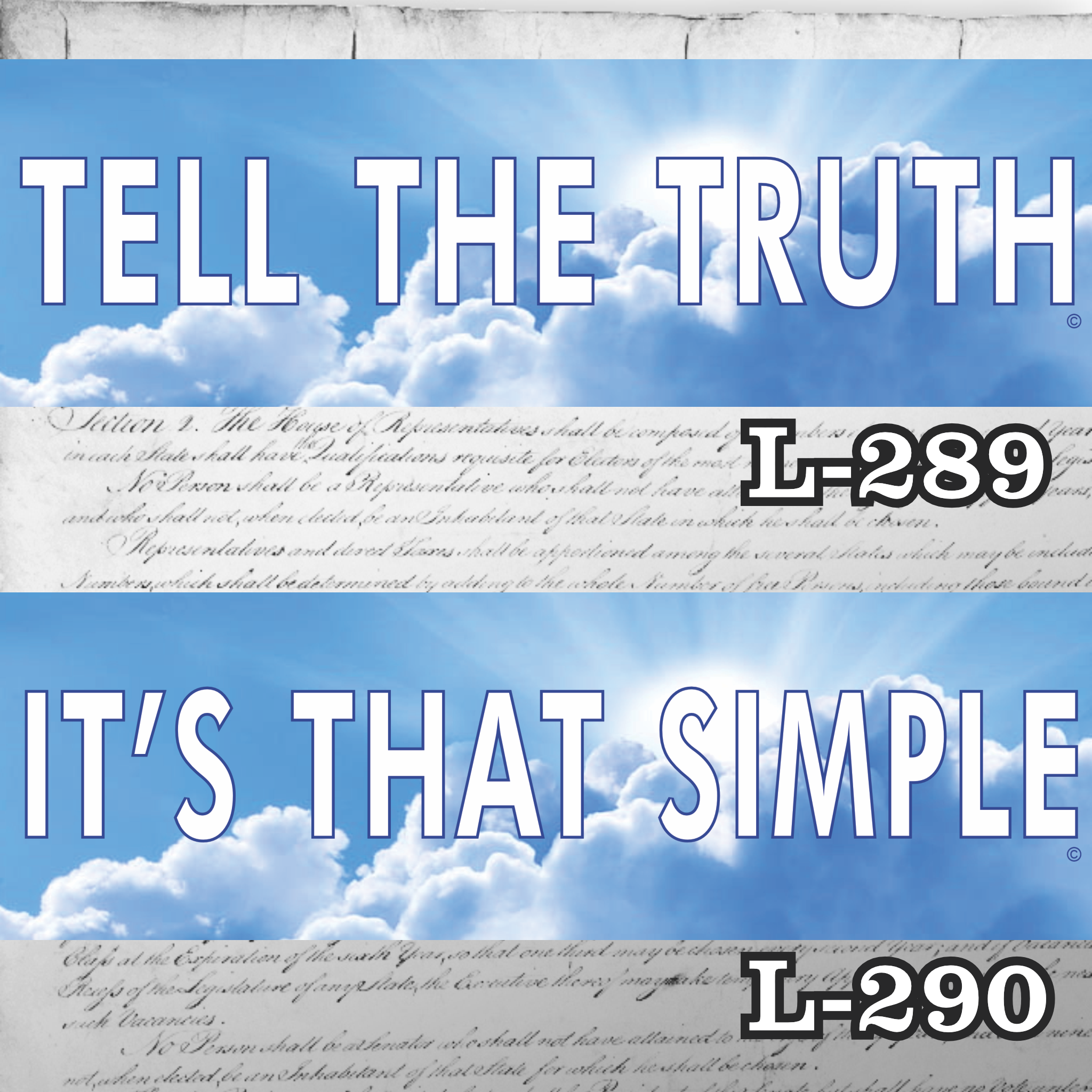 MAGNET 11" X 3.5" SET 289 290