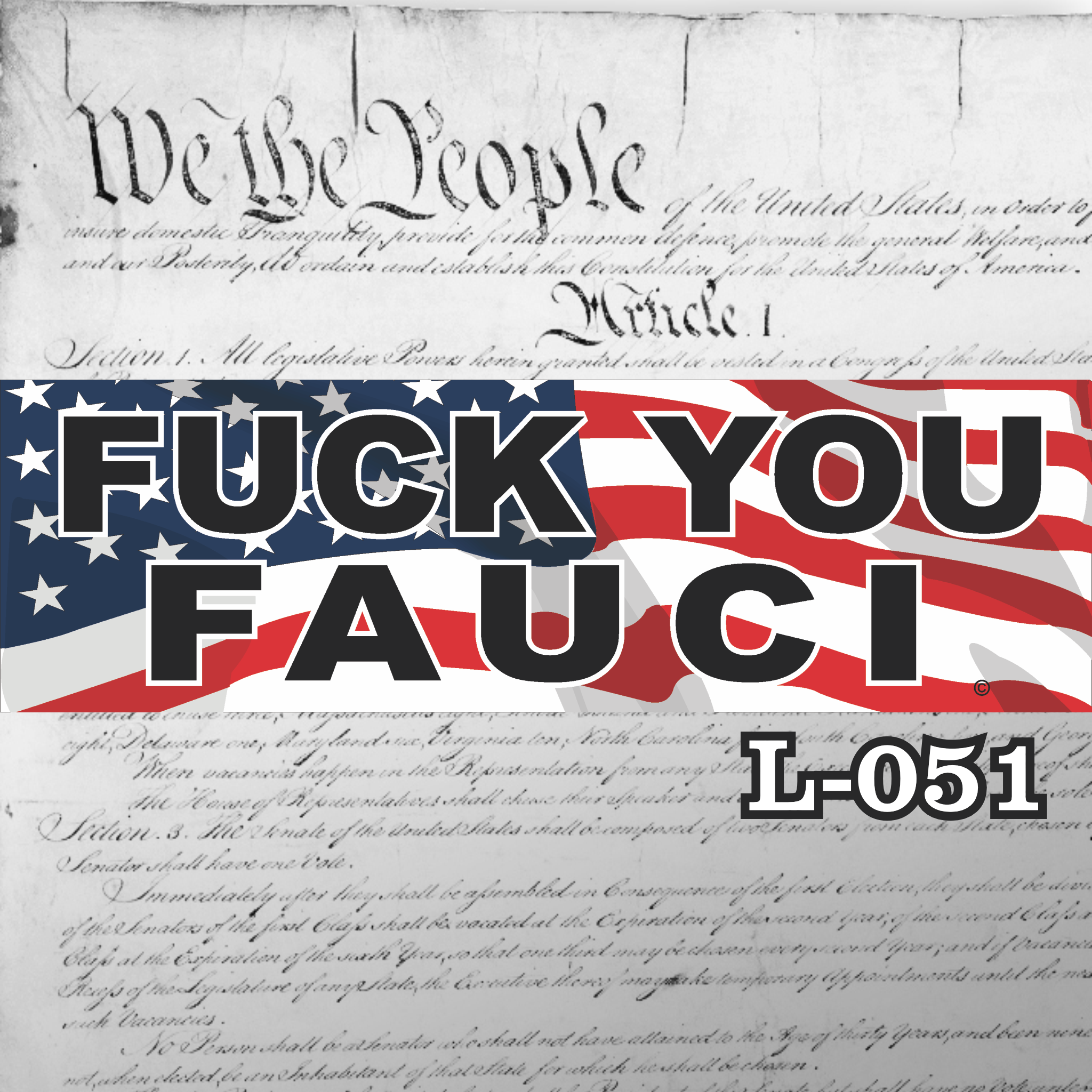 MAGNET 11" X 3.5" 51