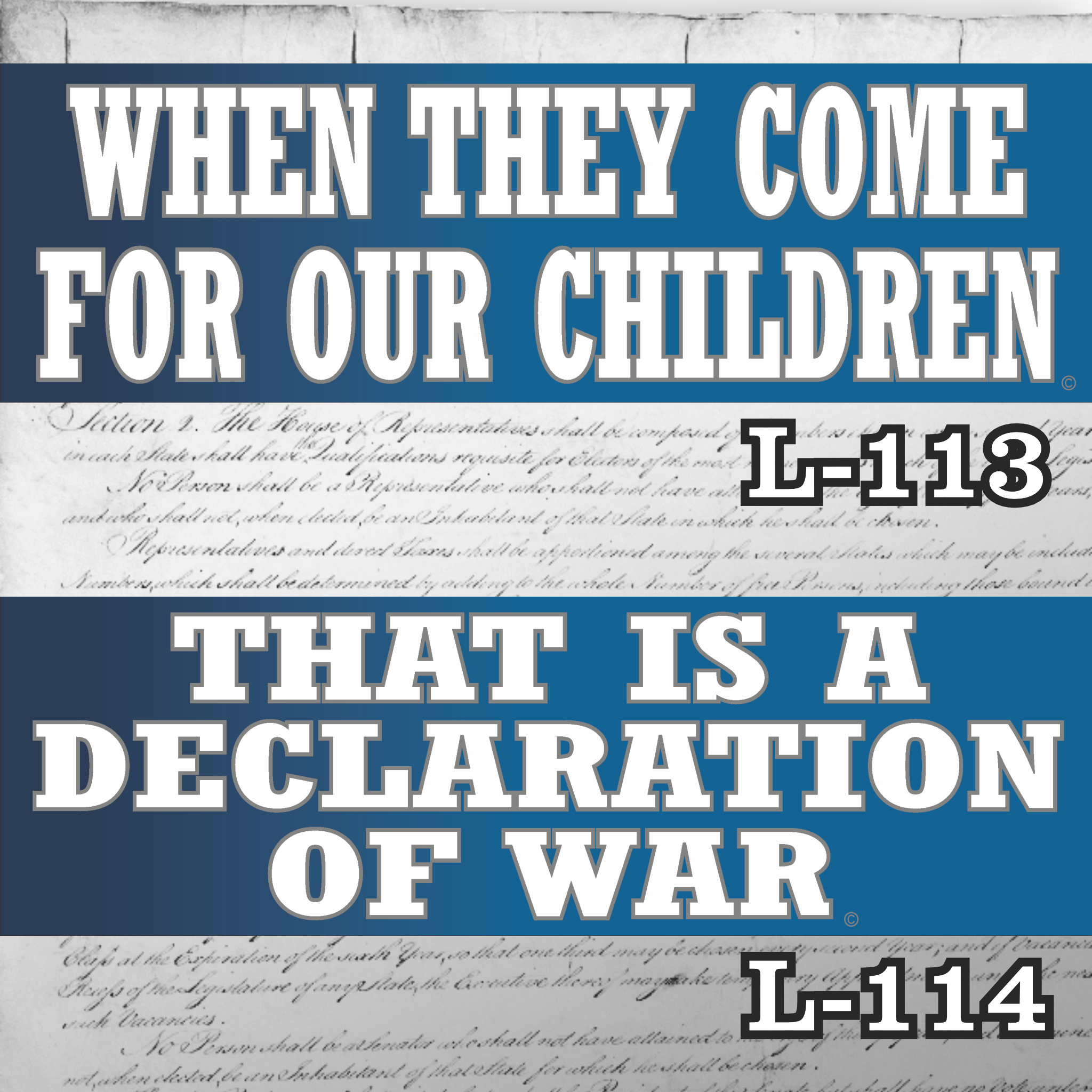 MAGNET SET 11" X 3.5" 113 114