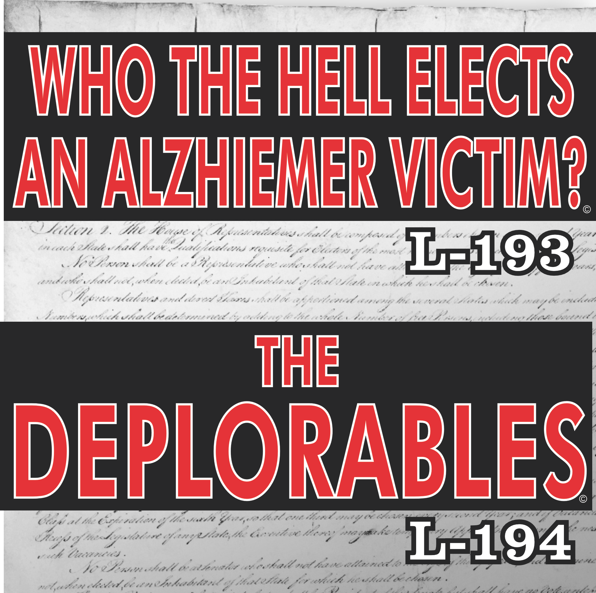 MAGNET 11" X 3.5" SET 193 194