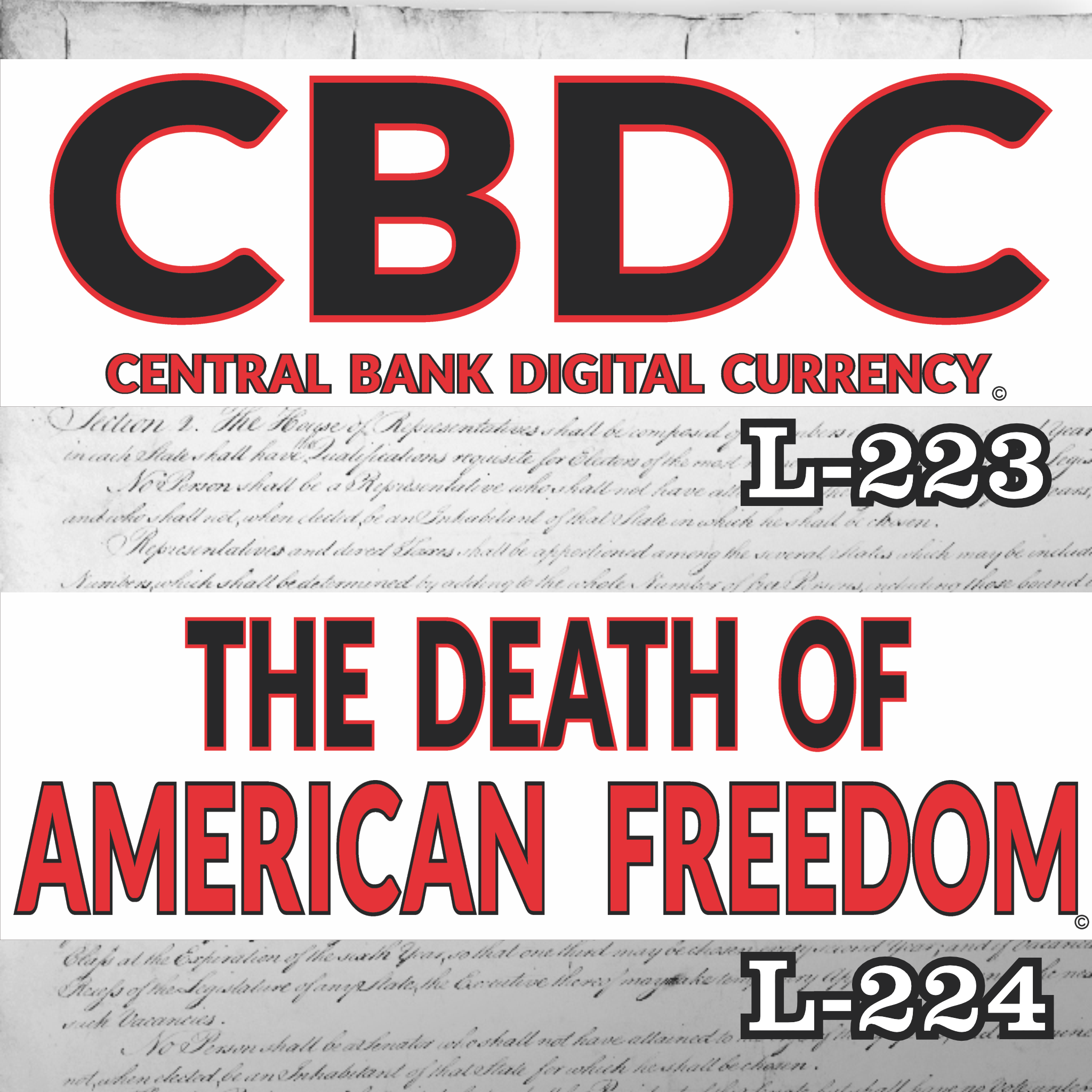 MAGNET 11" X 3.5" SET 223 224