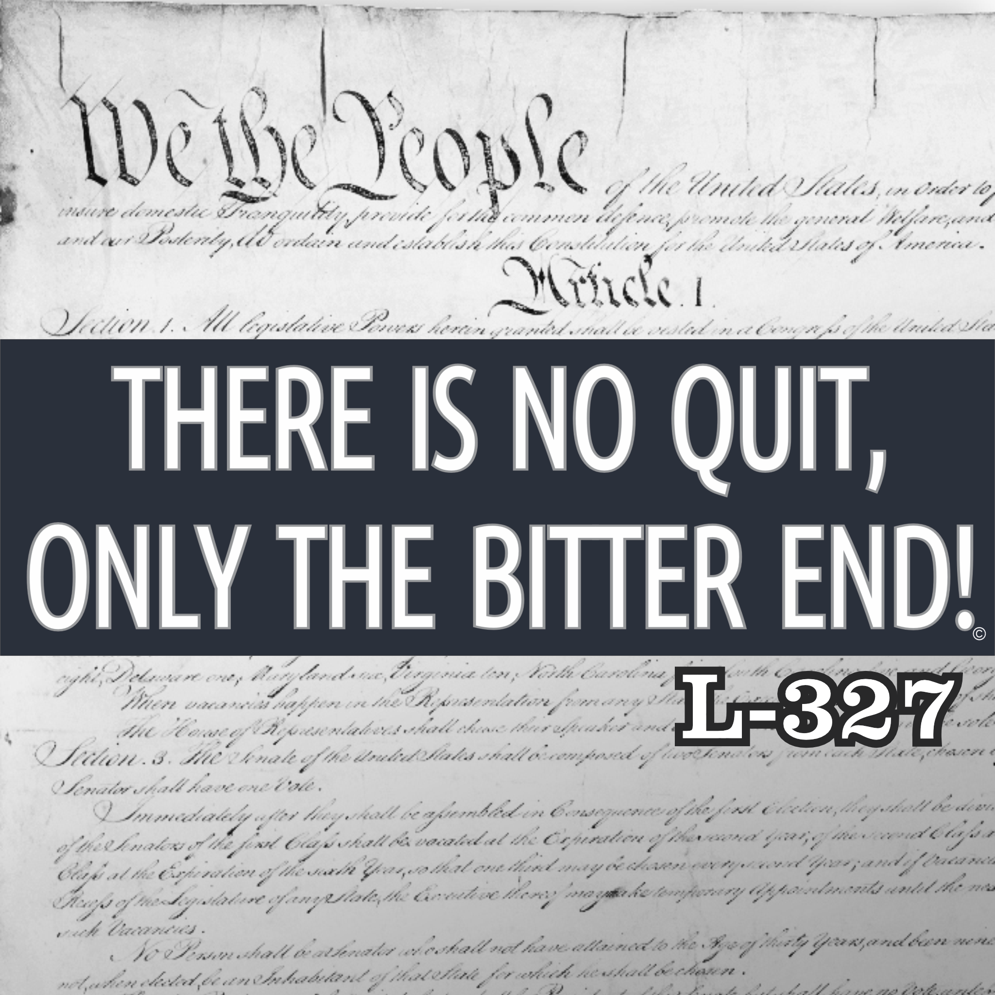 Magnet 11" x 3.5" 327