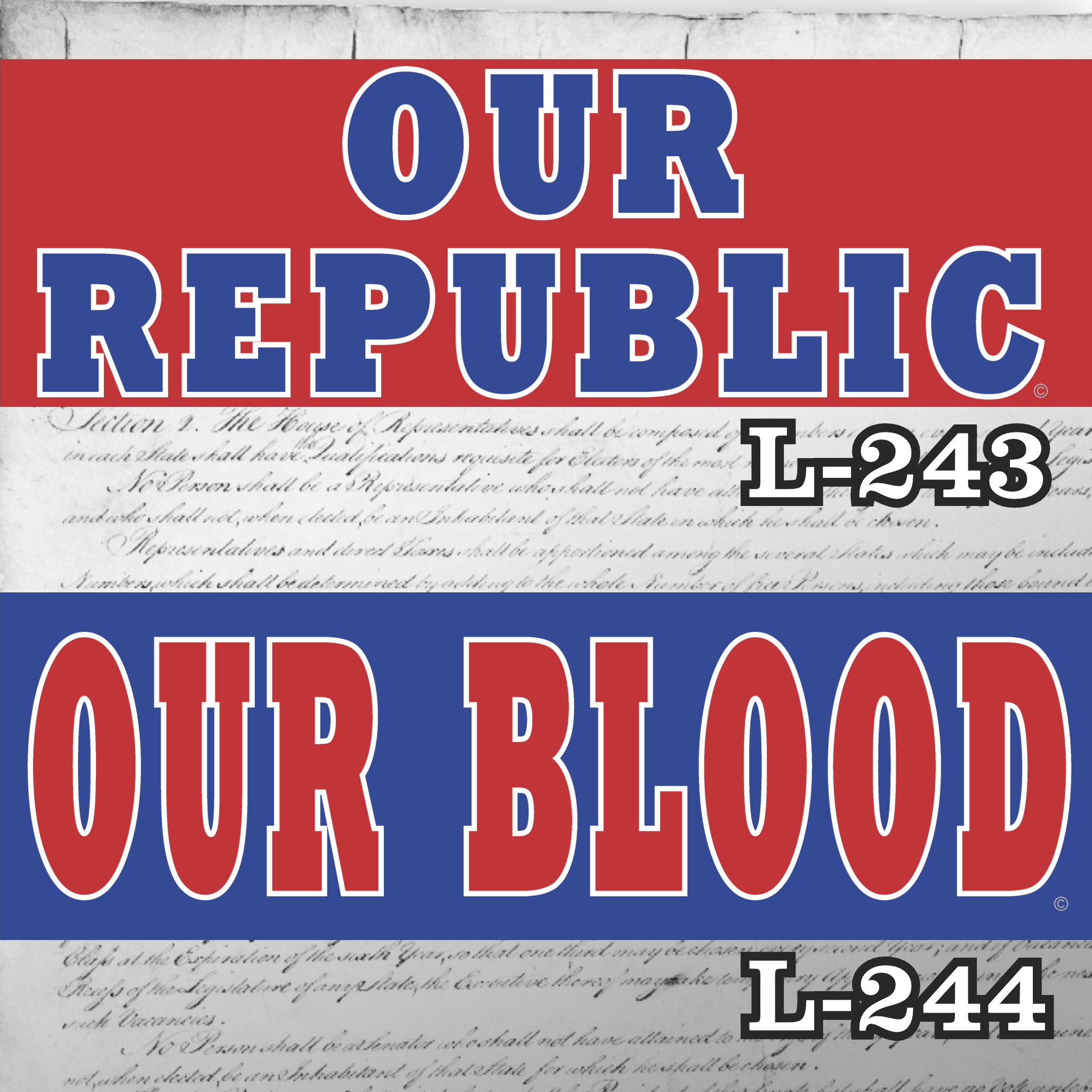 MAGNET 11" X 3.5" SET 243 244