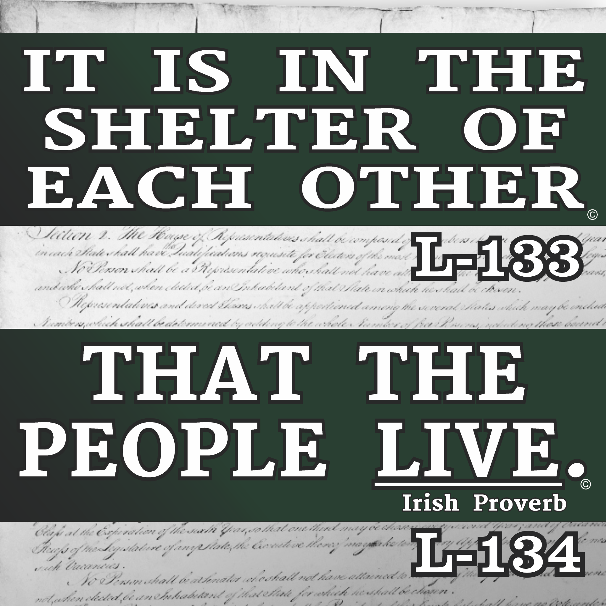 MAGNET 11" X 3.5" SET 133 134