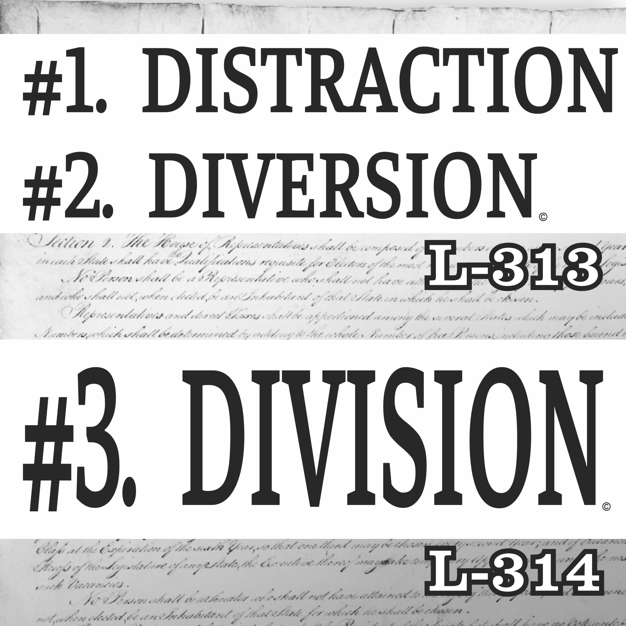 Magnet 11" x 3.5" SET 313 314