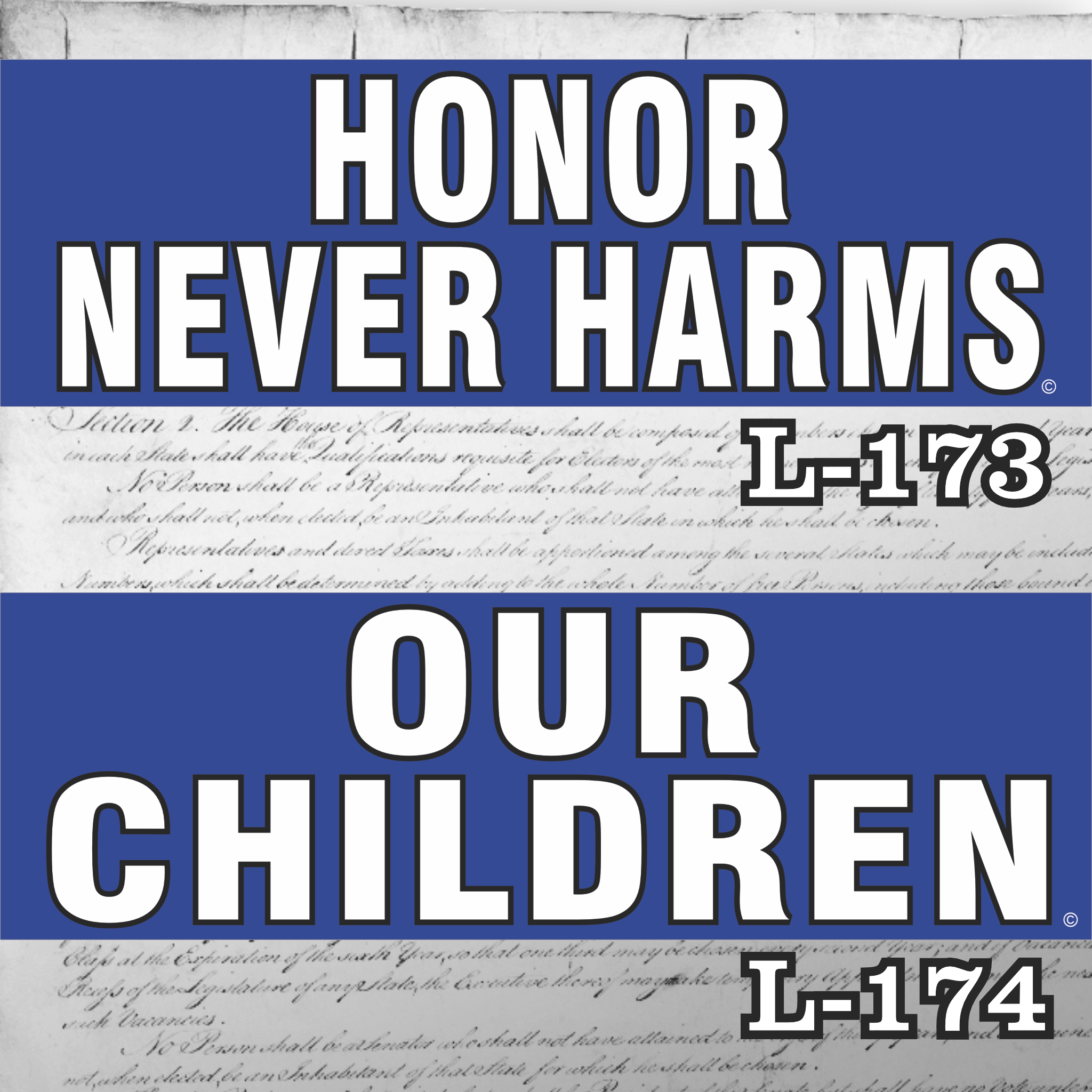 MAGNET 11" X 3.5" SET 173 174