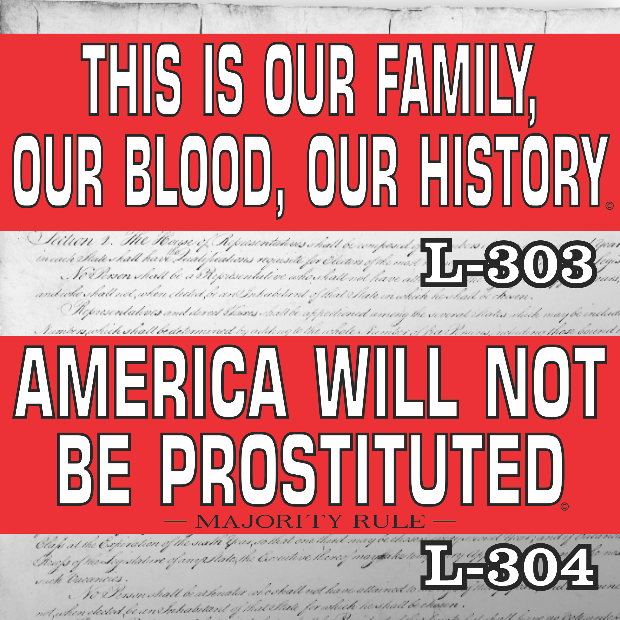 Magnet 11" x 3.5" SET 303 304