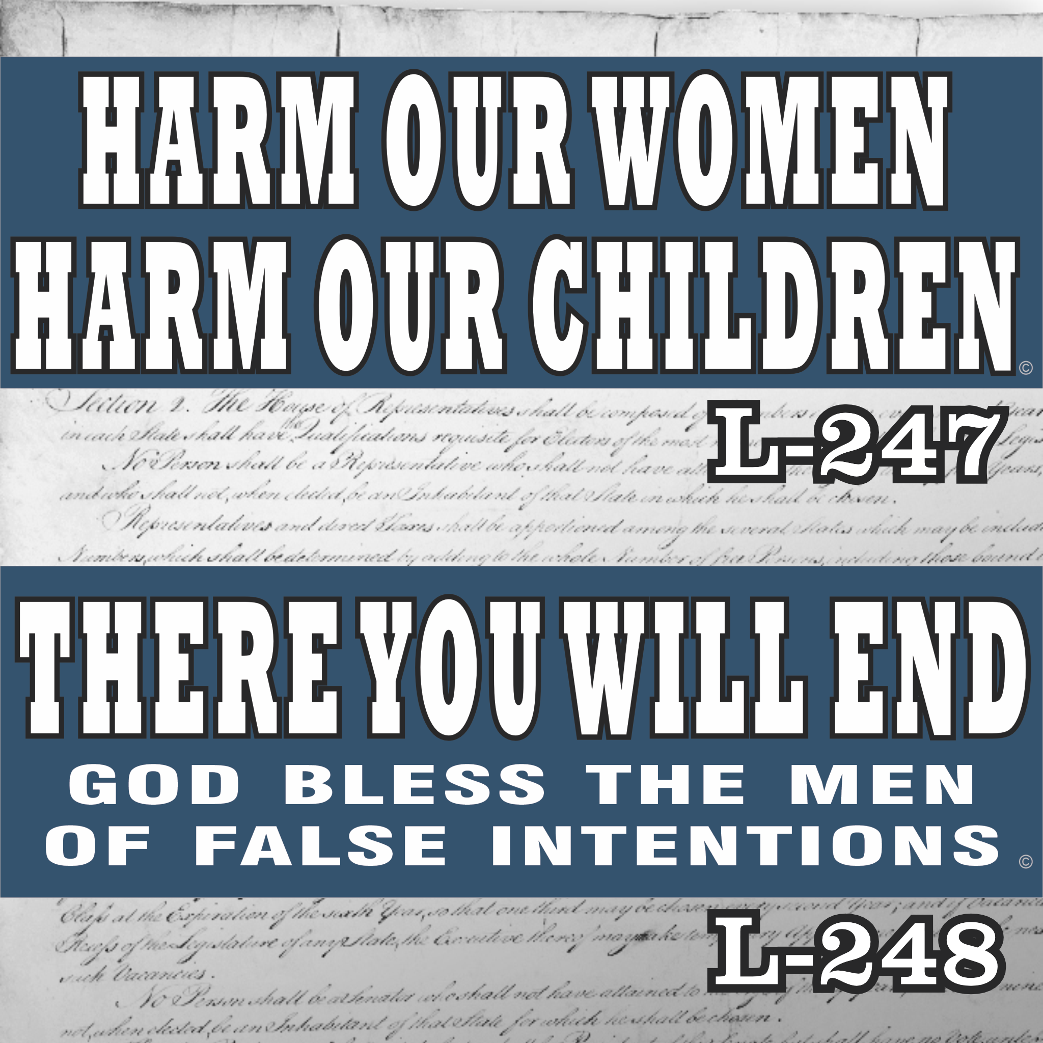 MAGNET 11" X 3.5" SET 247 248