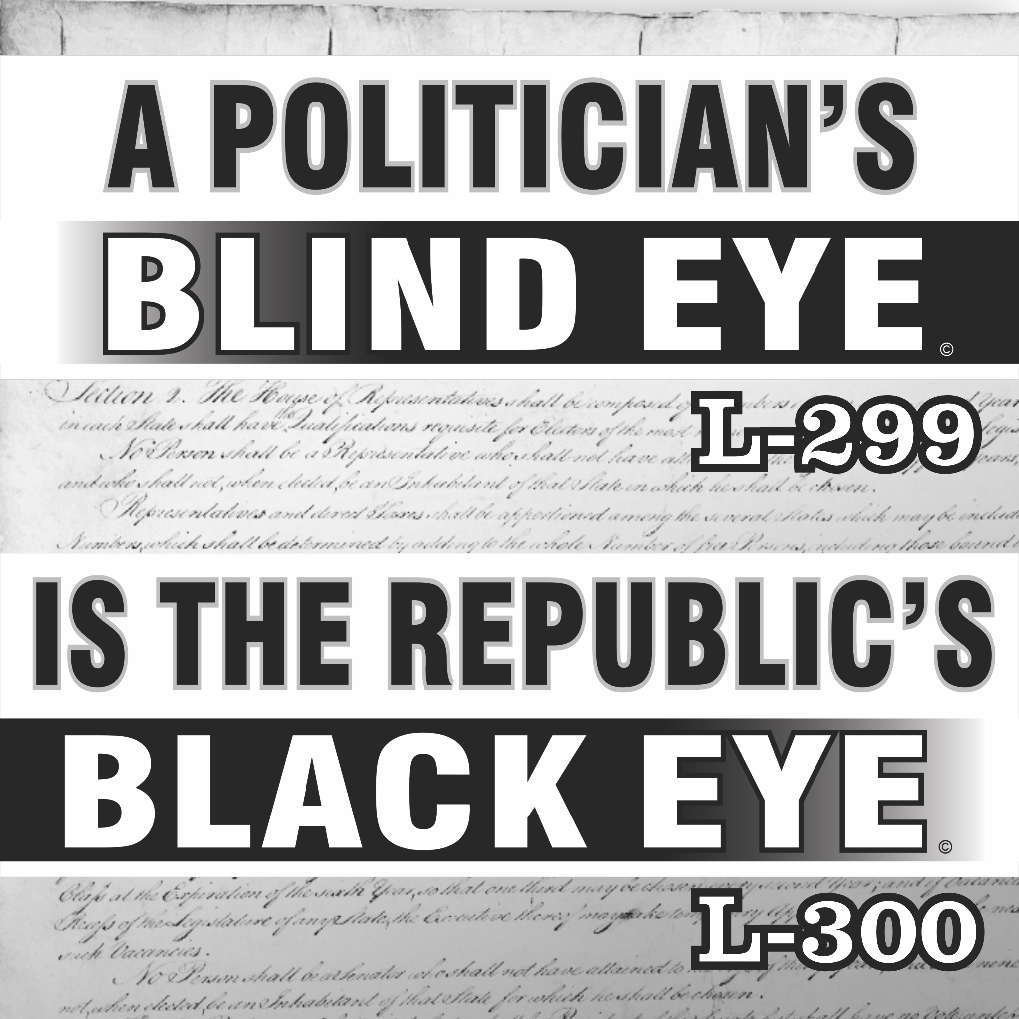 MAGNET 11" X 3.5" SET 299 300